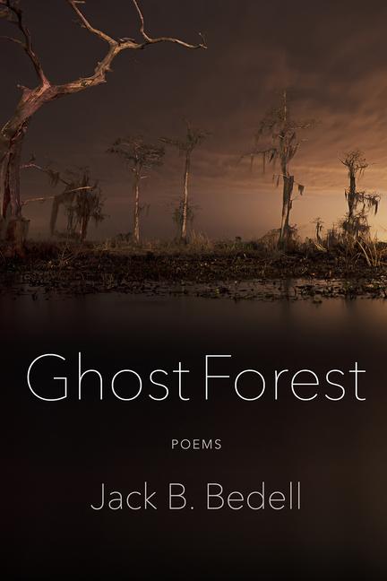 Vorderes Coverbild Ghost Forest