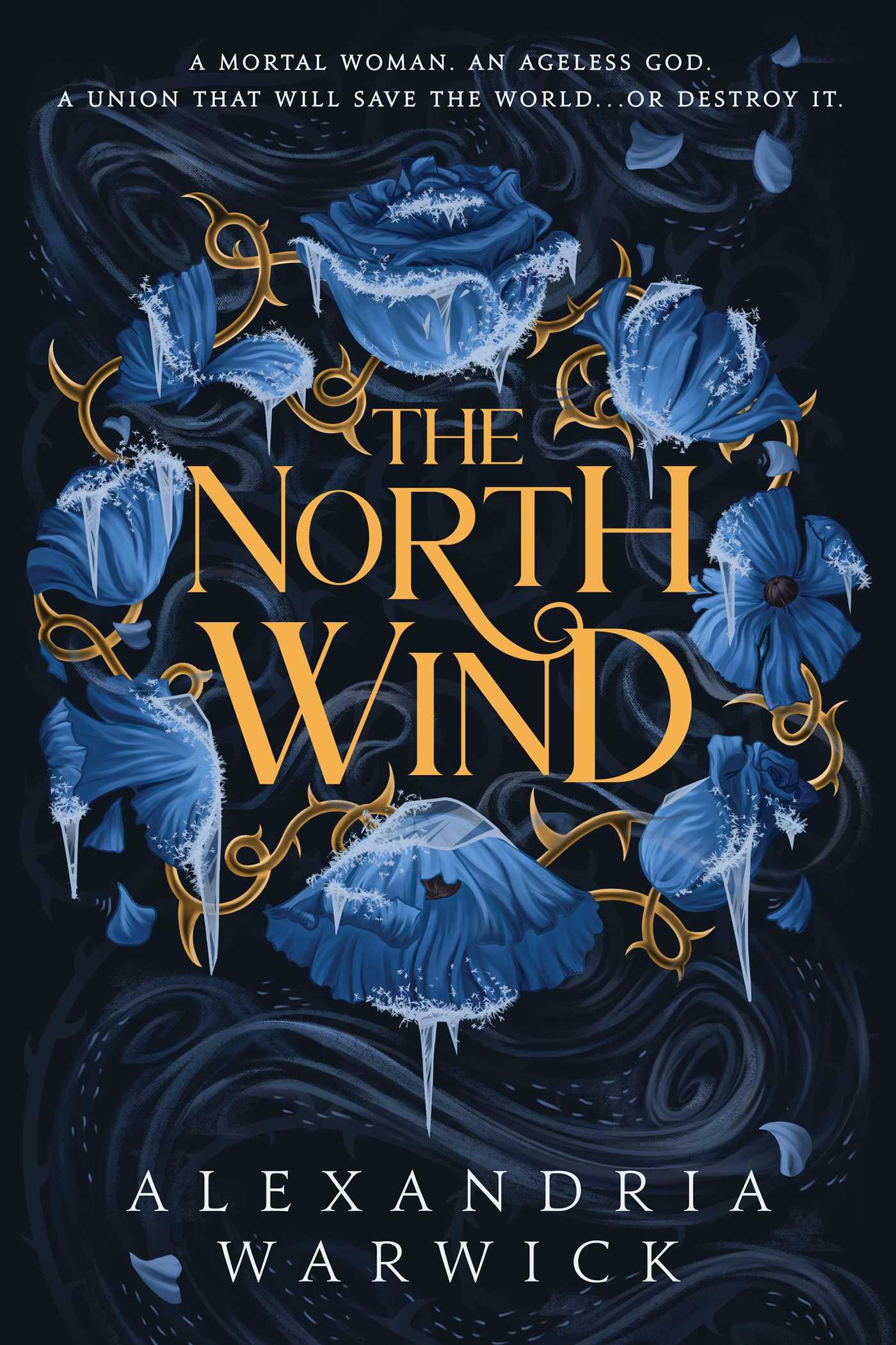 Vorderes Coverbild The North Wind