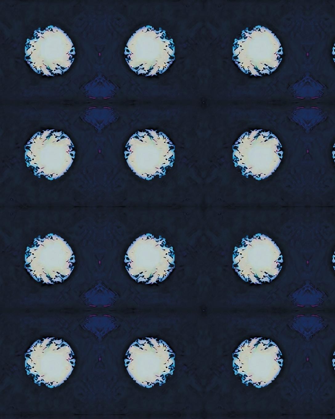 Vorderes Coverbild The White Dots Notebook
