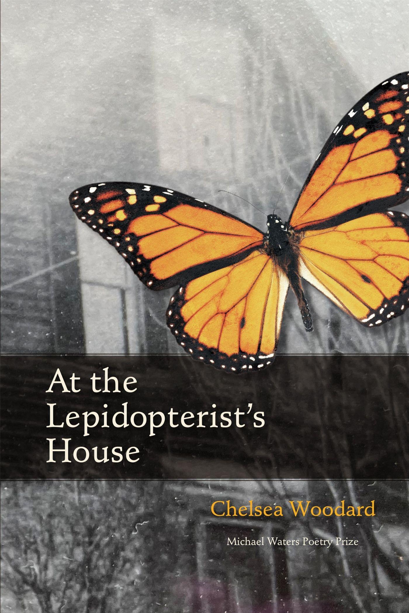 Vorderes Coverbild At the Lepidopterist's House