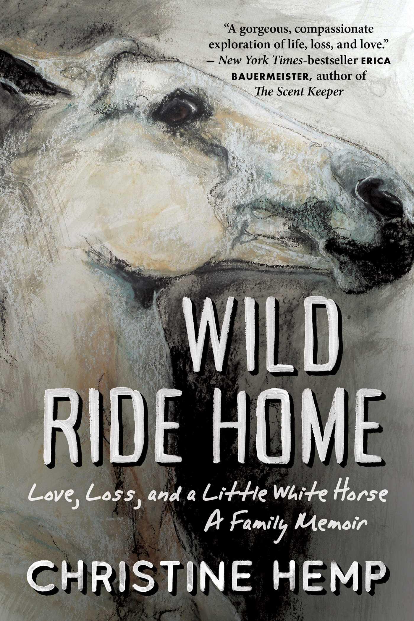 Vorderes Coverbild Wild Ride Home