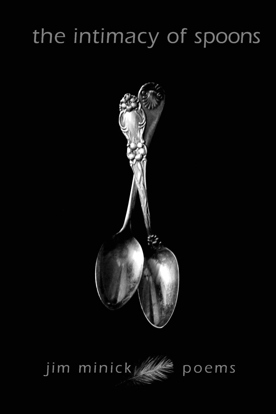 Vorderes Coverbild The Intimacy of Spoons
