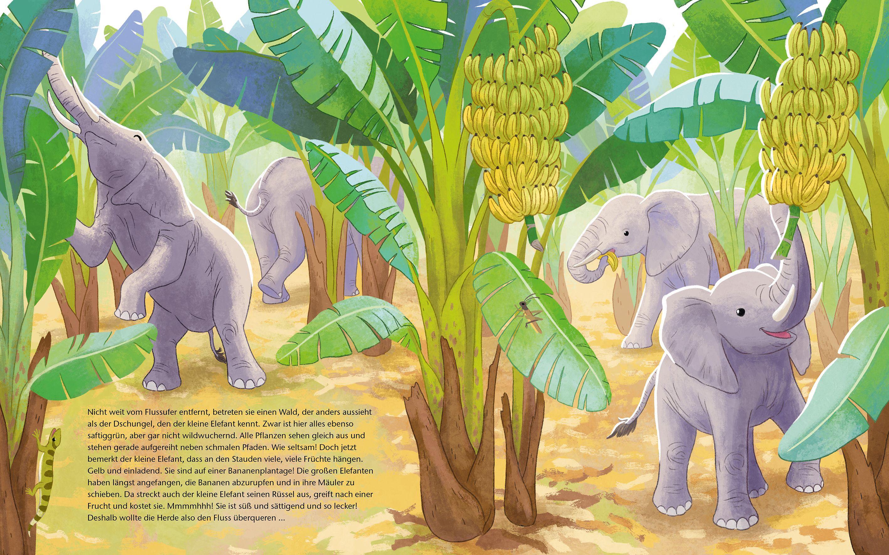 Beispielinhalt (Bild) Der kleine Waldelefant - Zu Hause in Afrika