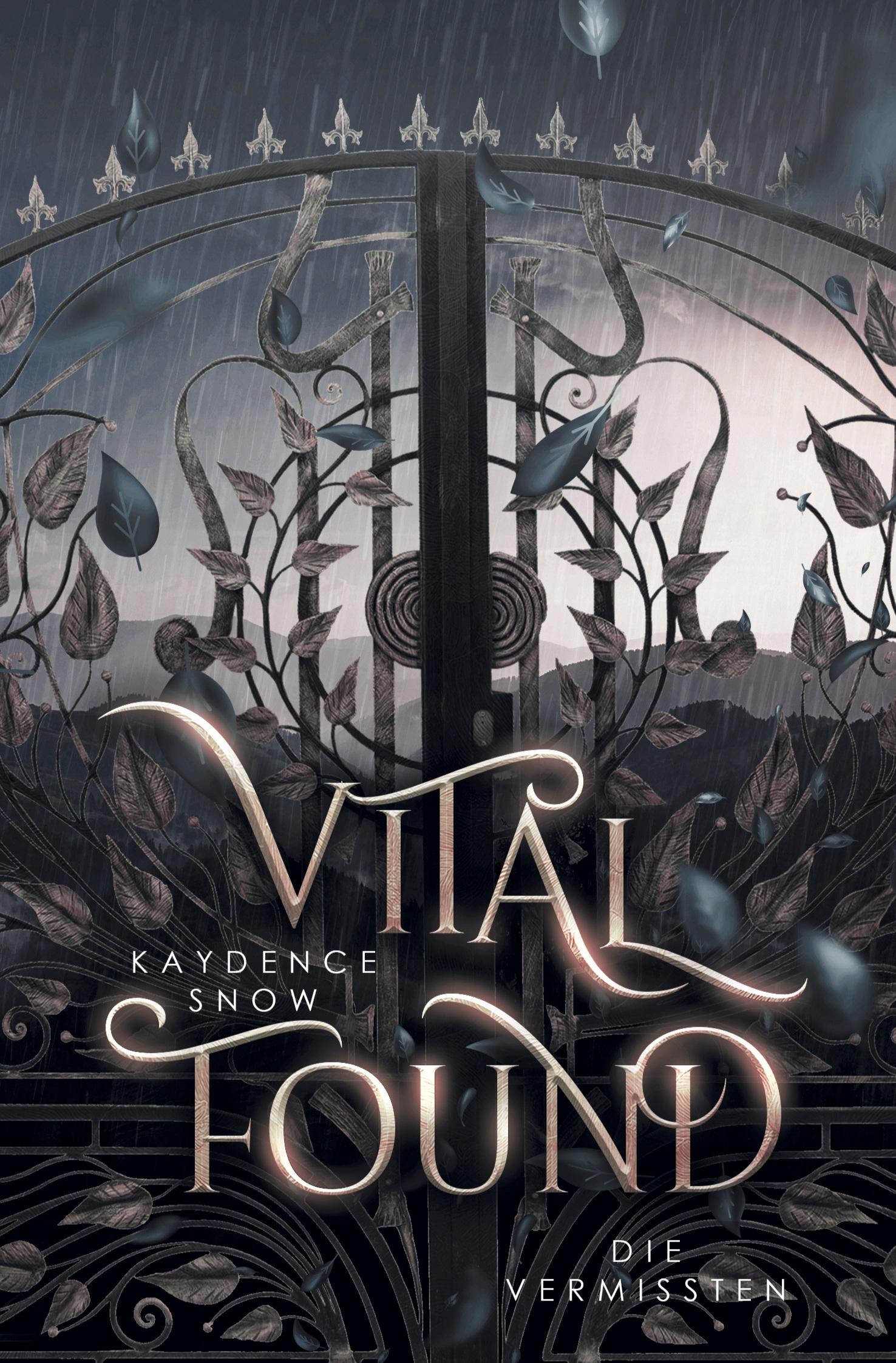 Vorderes Coverbild Vital Found - Die Vermissten