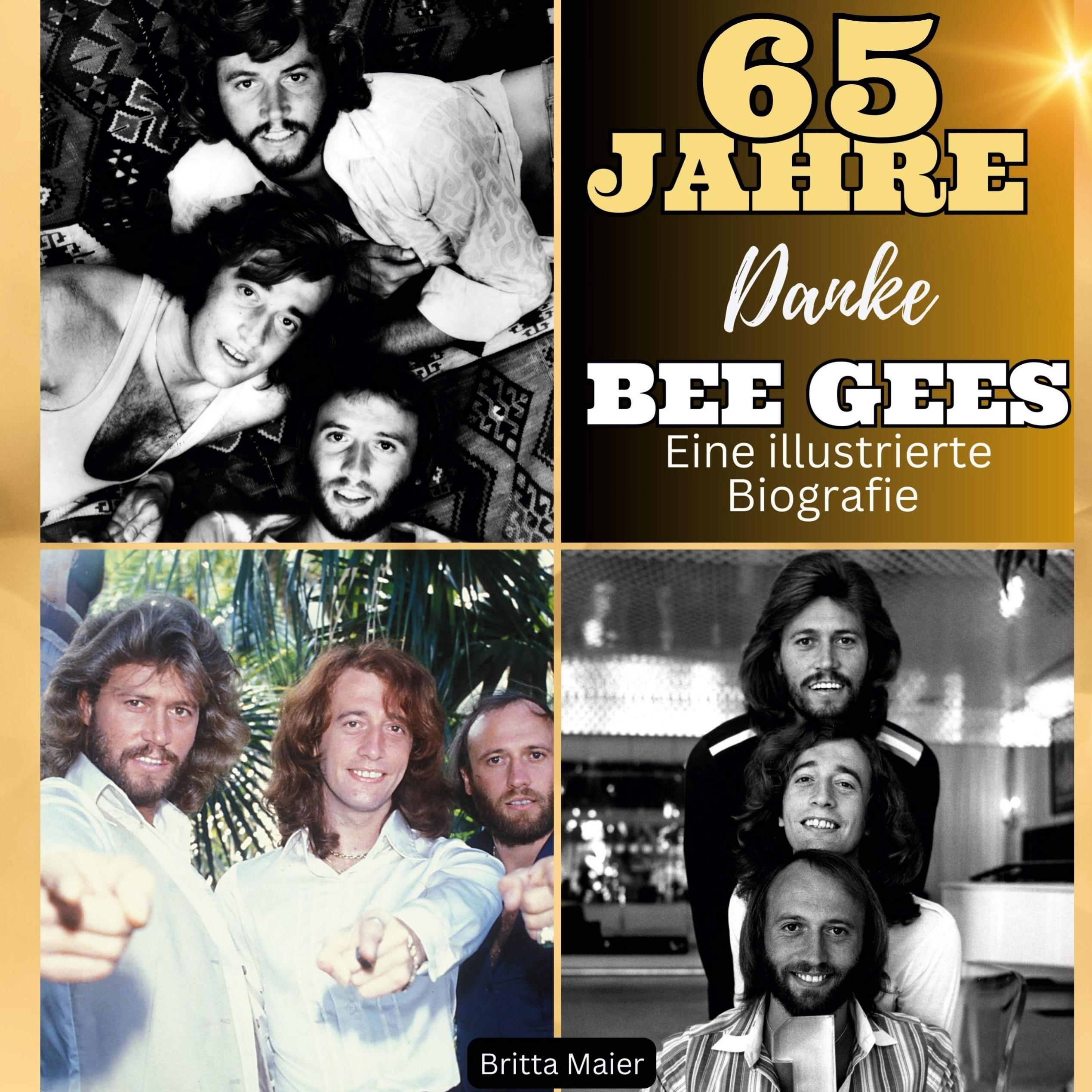 Vorderes Coverbild Eine illustrierte Biografie <br>über die <br> Bee Gees
