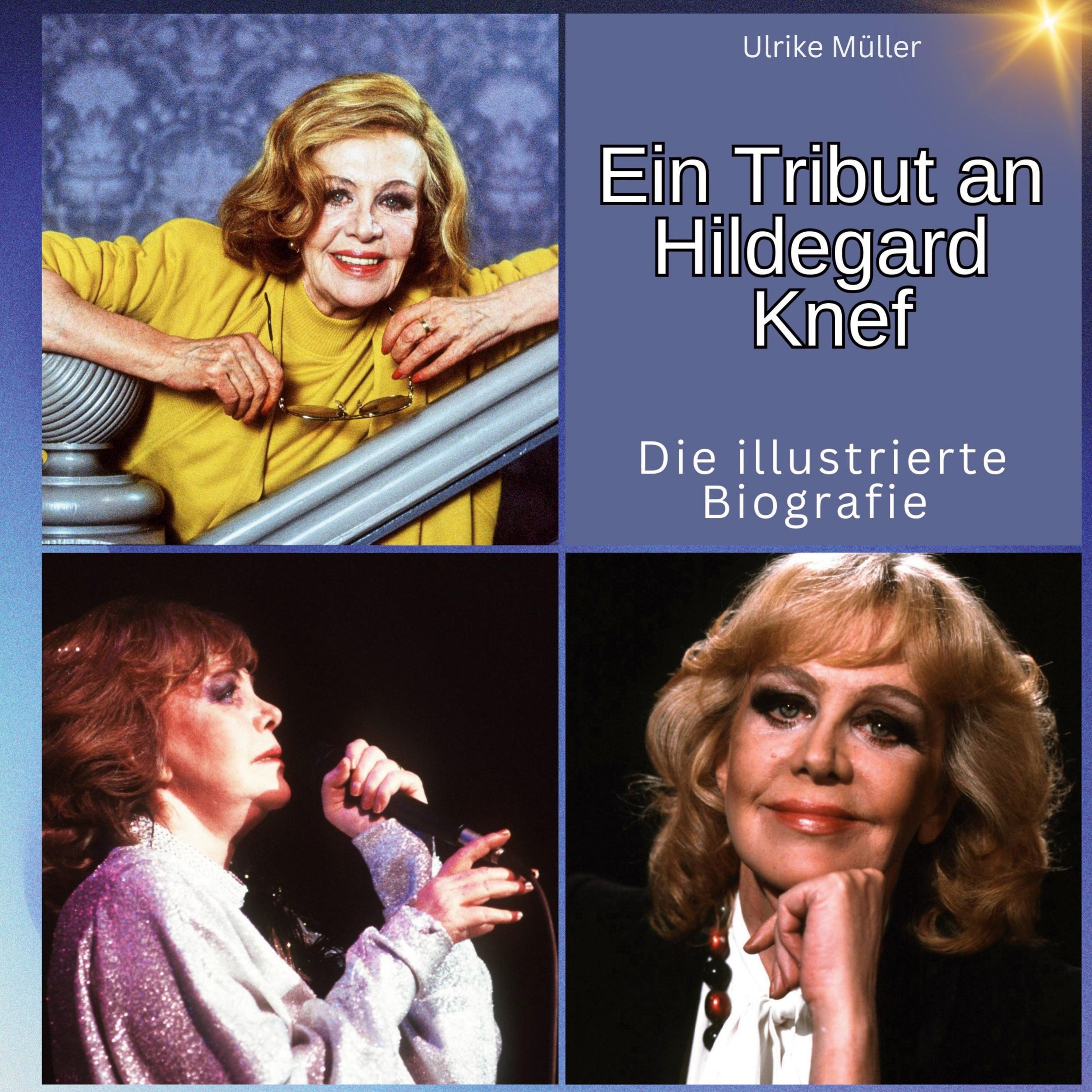 Vorderes Coverbild Ein Tribut an <br> Hildegard Knef