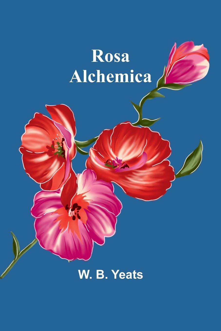 Vorderes Coverbild Rosa Alchemica