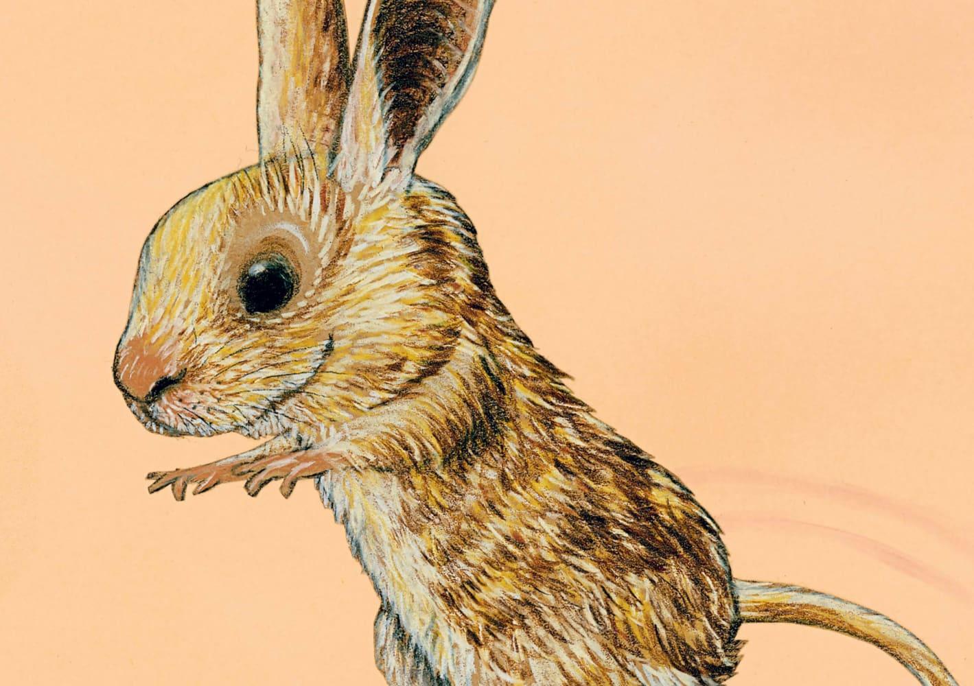 Beispielinhalt (Bild) Da sein. Was fühlst du?