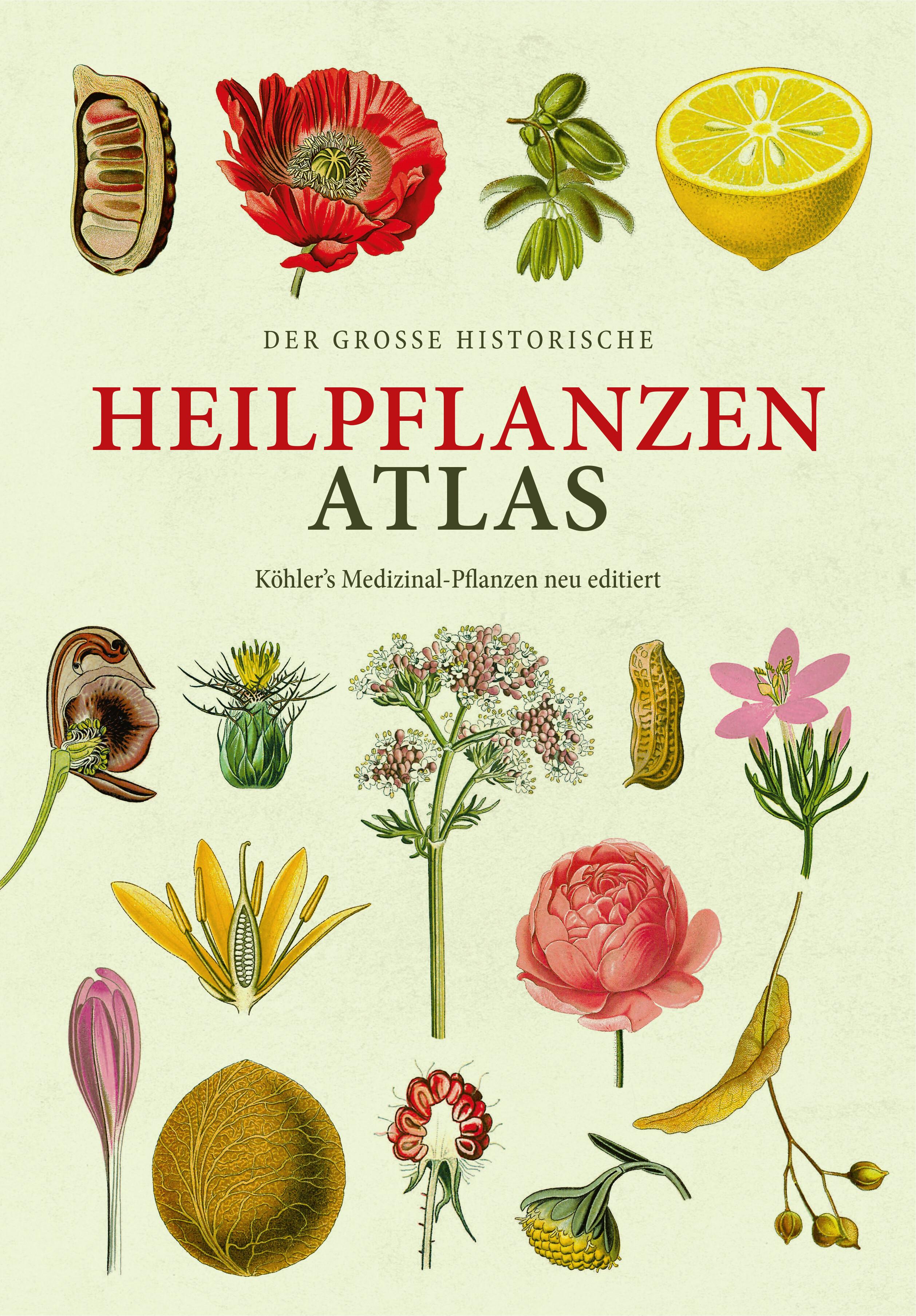 Vorderes Coverbild Der große Heilpflanzen-Atlas