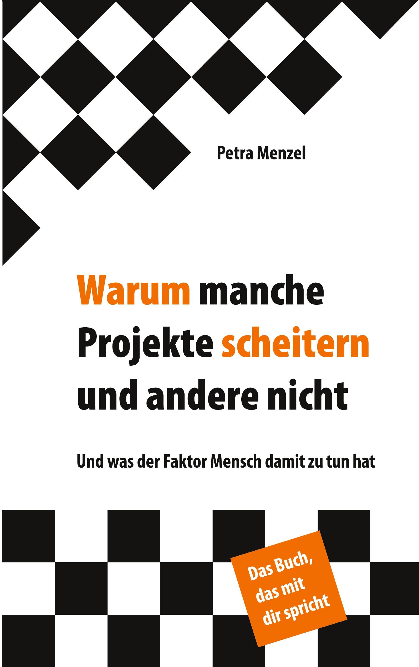 Vorderes Coverbild Warum manche Projekte scheitern und andere nicht