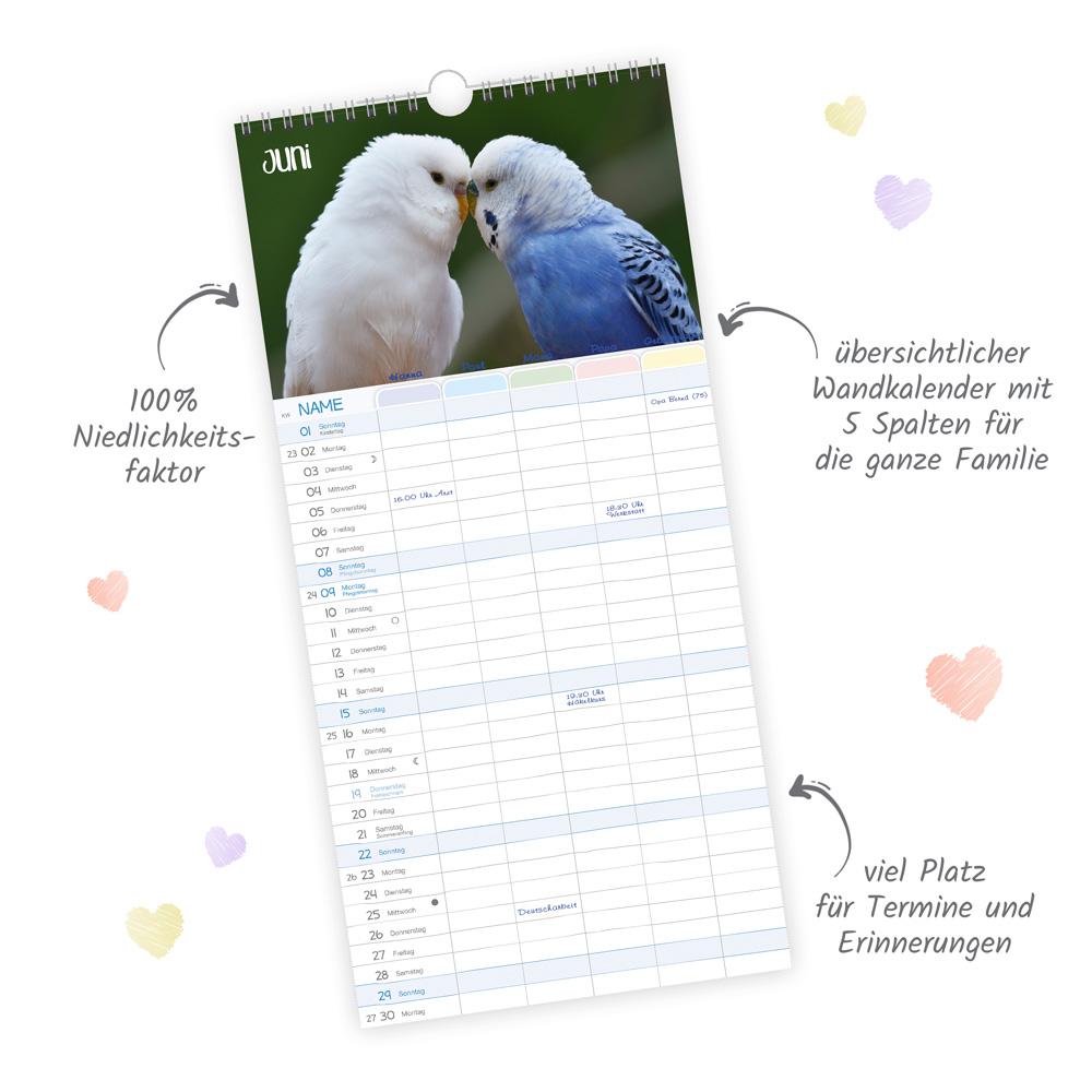 Beispielinhalt (Bild) Trötsch Familienkalender Unsere Lieblinge 2025