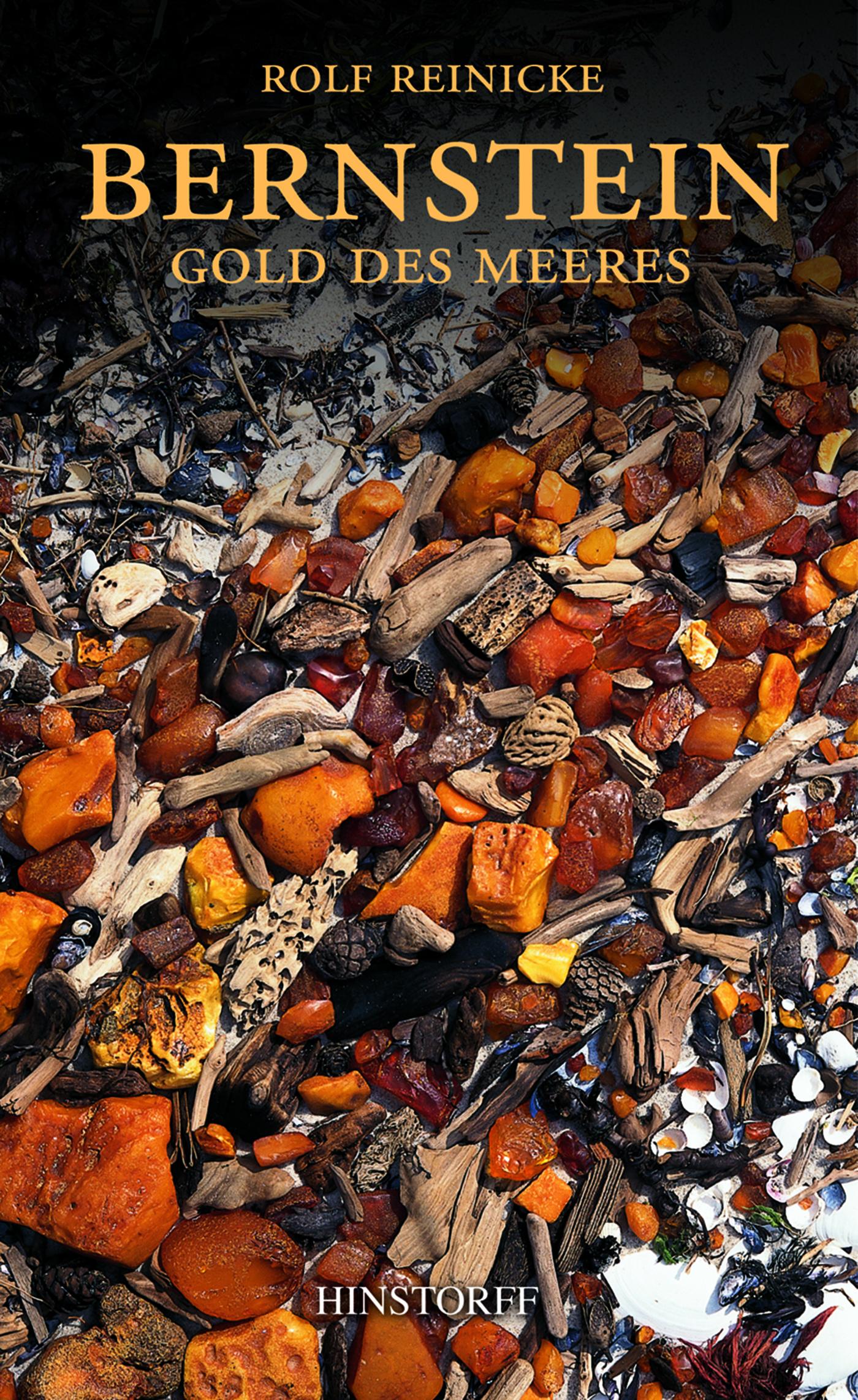 Vorderes Coverbild Bernstein