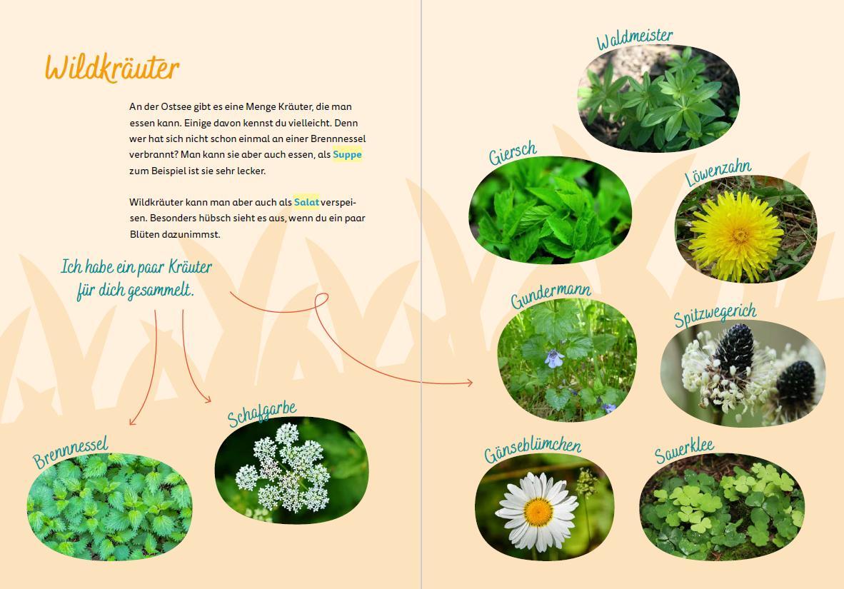 Beispielinhalt (Bild) Ostsee for kids