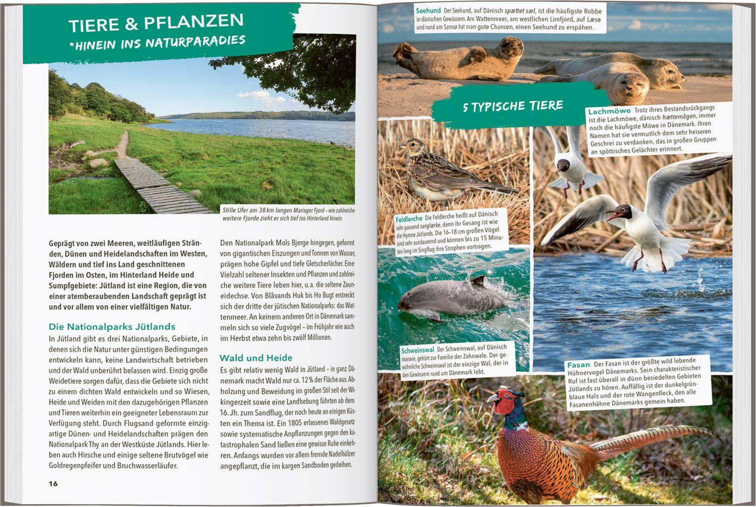 Beispielinhalt (Bild) MARCO POLO OUTDOOR GUIDE Reiseführer Jütland Dänemark