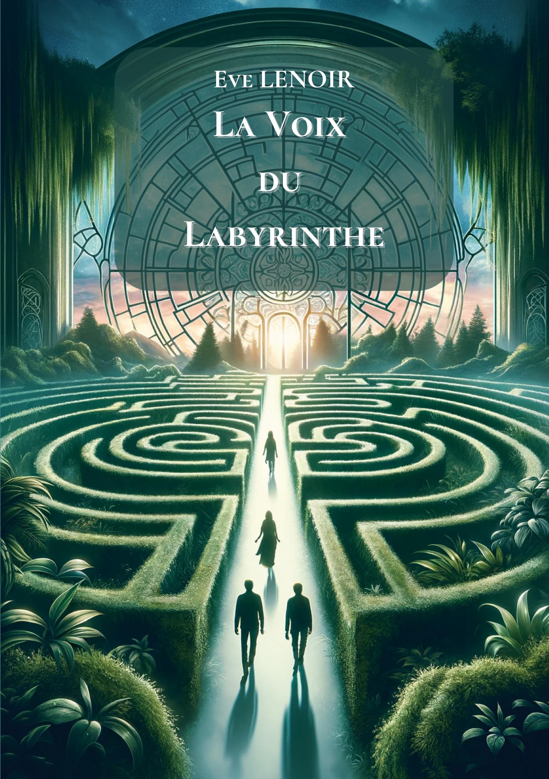 Vorderes Coverbild La Voix du Labyrinthe