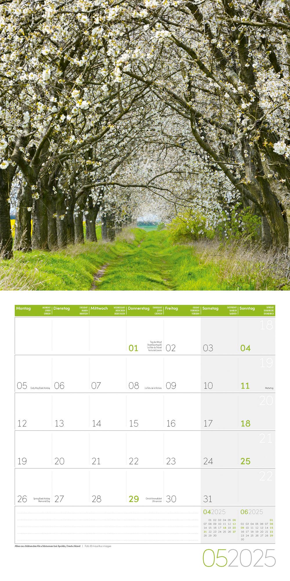 Beispielinhalt (Bild) Traumpfade Kalender 2025 - 30x30