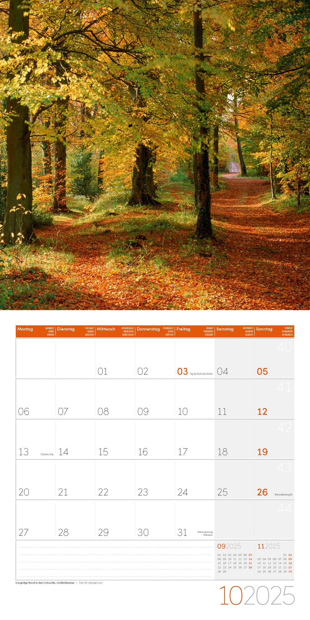 Beispielinhalt (Bild) Traumpfade Kalender 2025 - 30x30