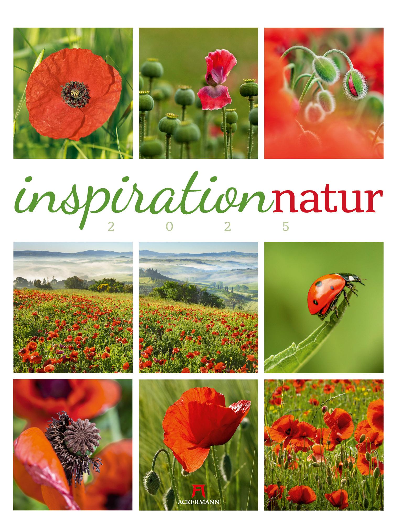 Vorderes Coverbild Inspiration Natur Kalender 2025