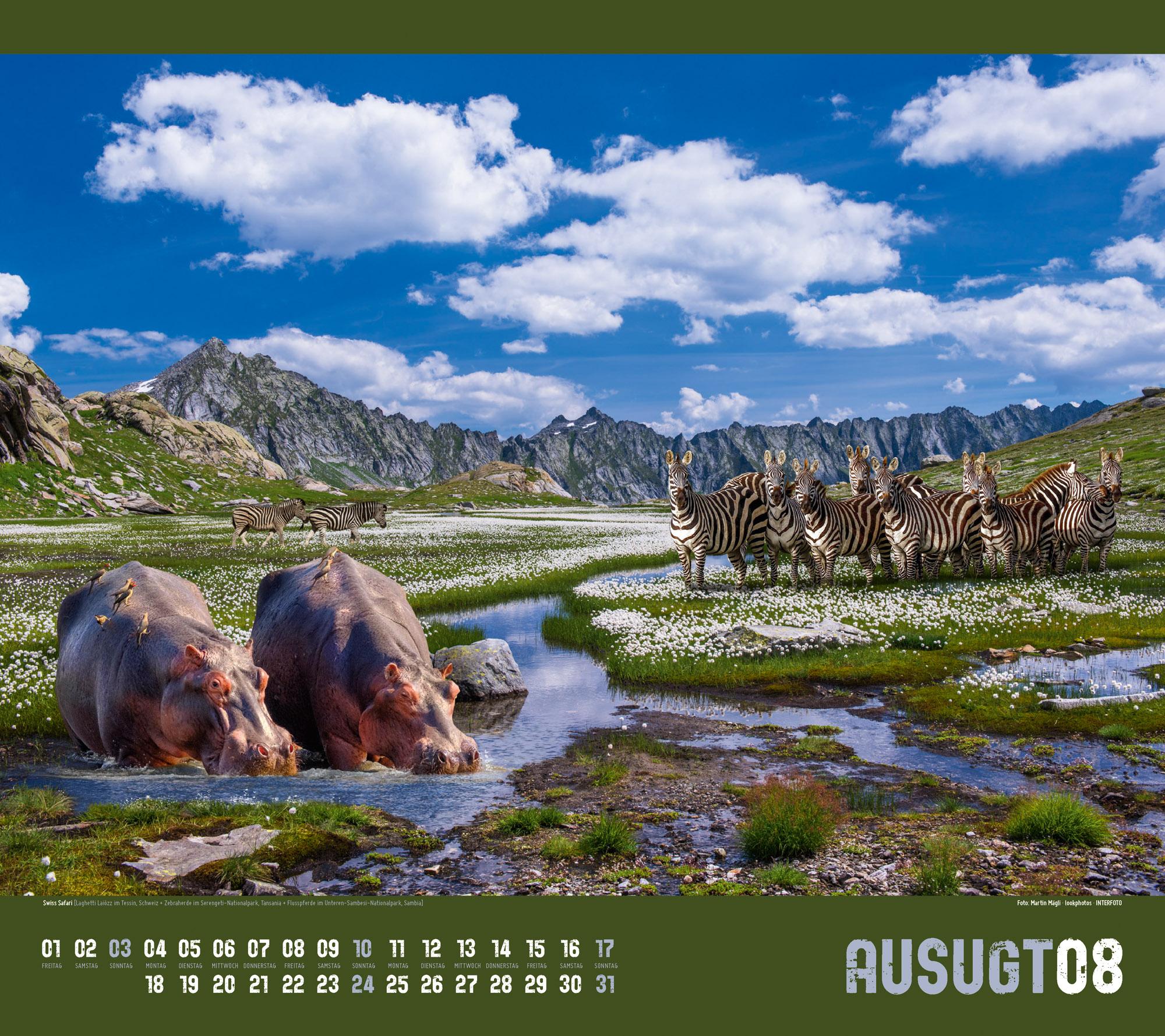 Beispielinhalt (Bild) Verrückte Welt Kalender 2025