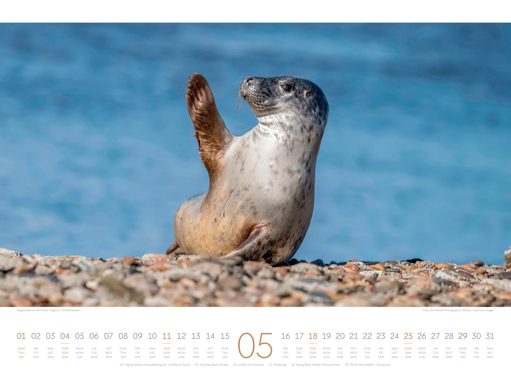 Beispielinhalt (Bild) Tage am Meer Kalender 2025