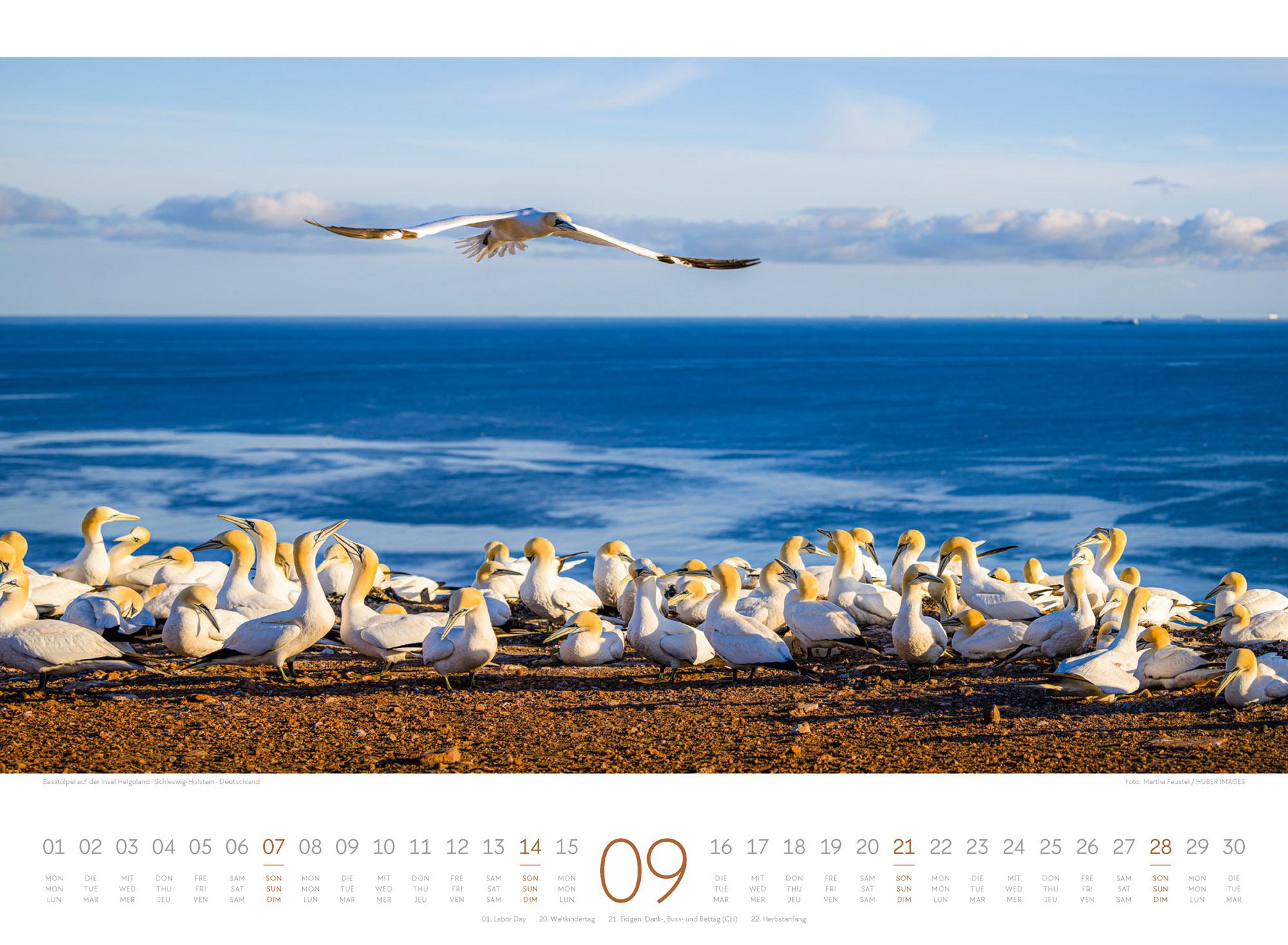 Beispielinhalt (Bild) Tage am Meer Kalender 2025