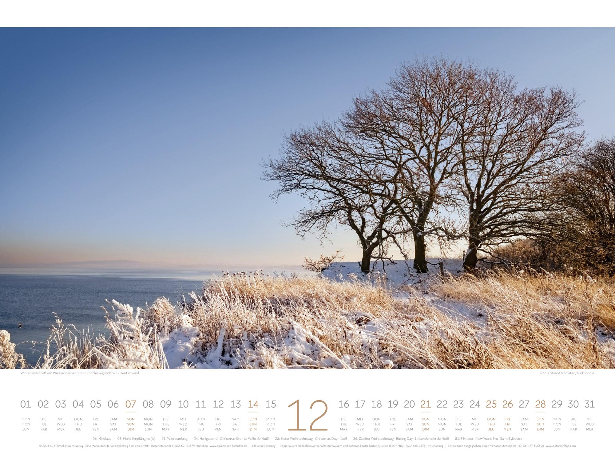 Beispielinhalt (Bild) Tage am Meer Kalender 2025