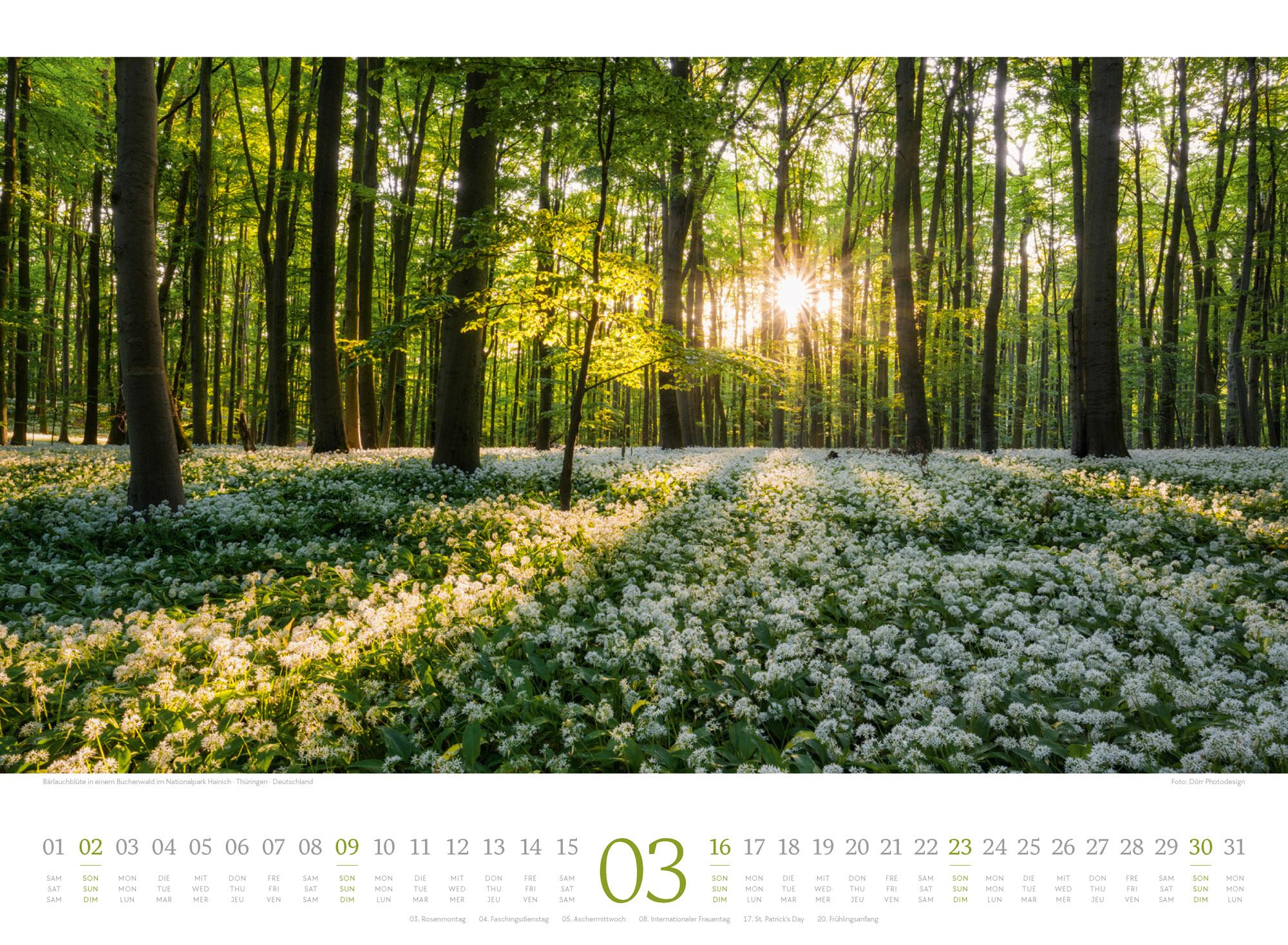 Beispielinhalt (Bild) Harmonie Kalender 2025