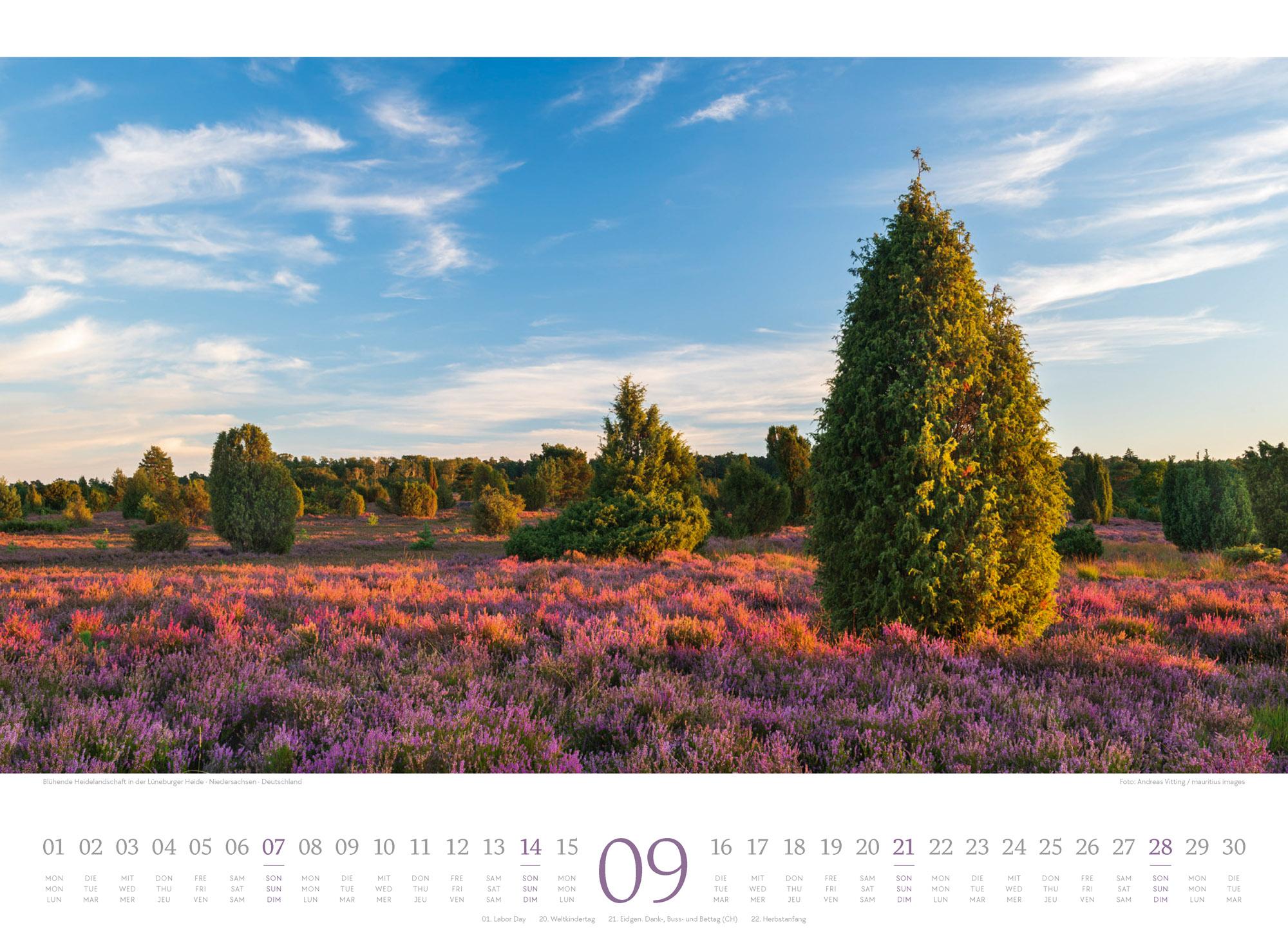 Beispielinhalt (Bild) Harmonie Kalender 2025