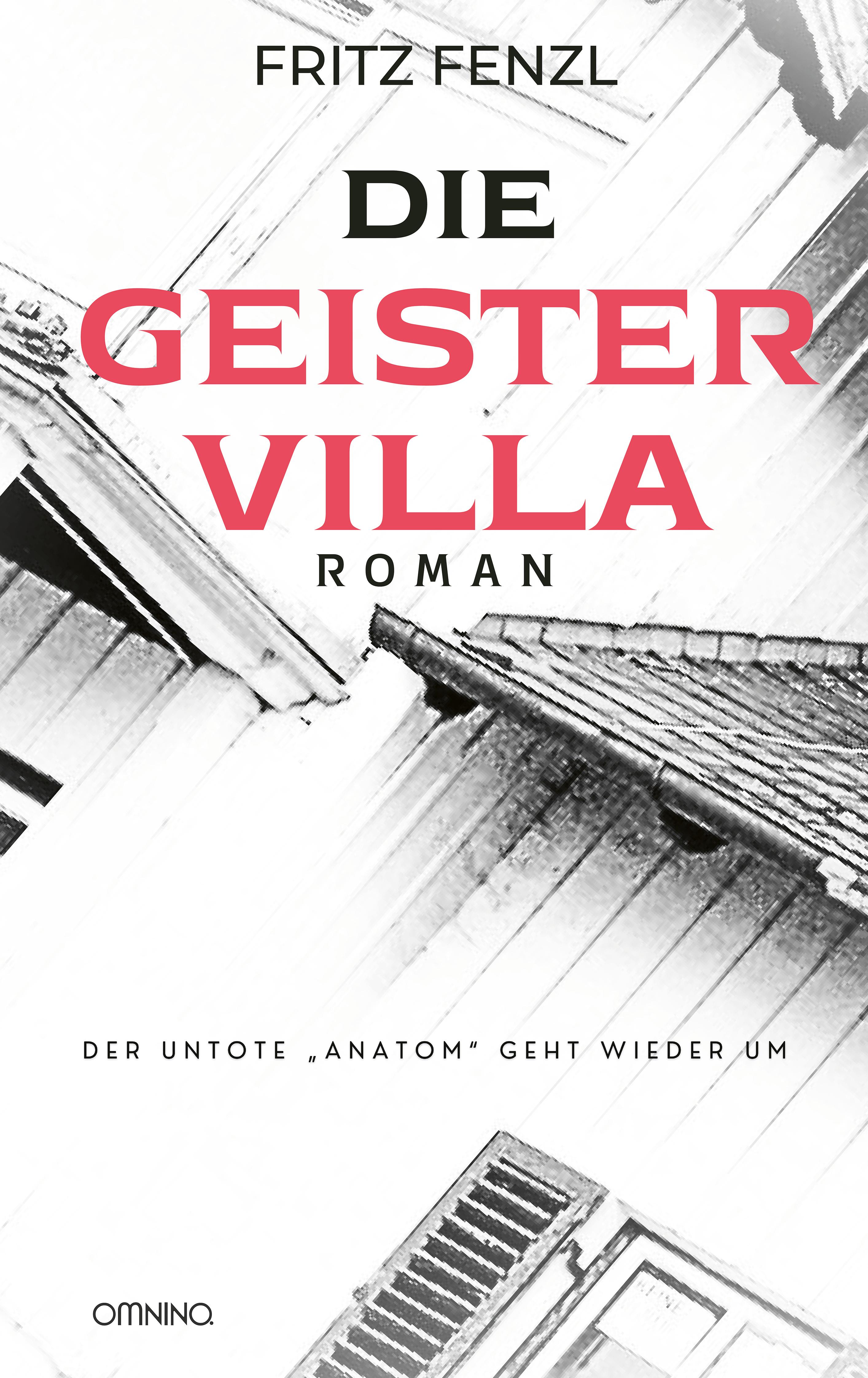 Vorderes Coverbild Die Geistervilla