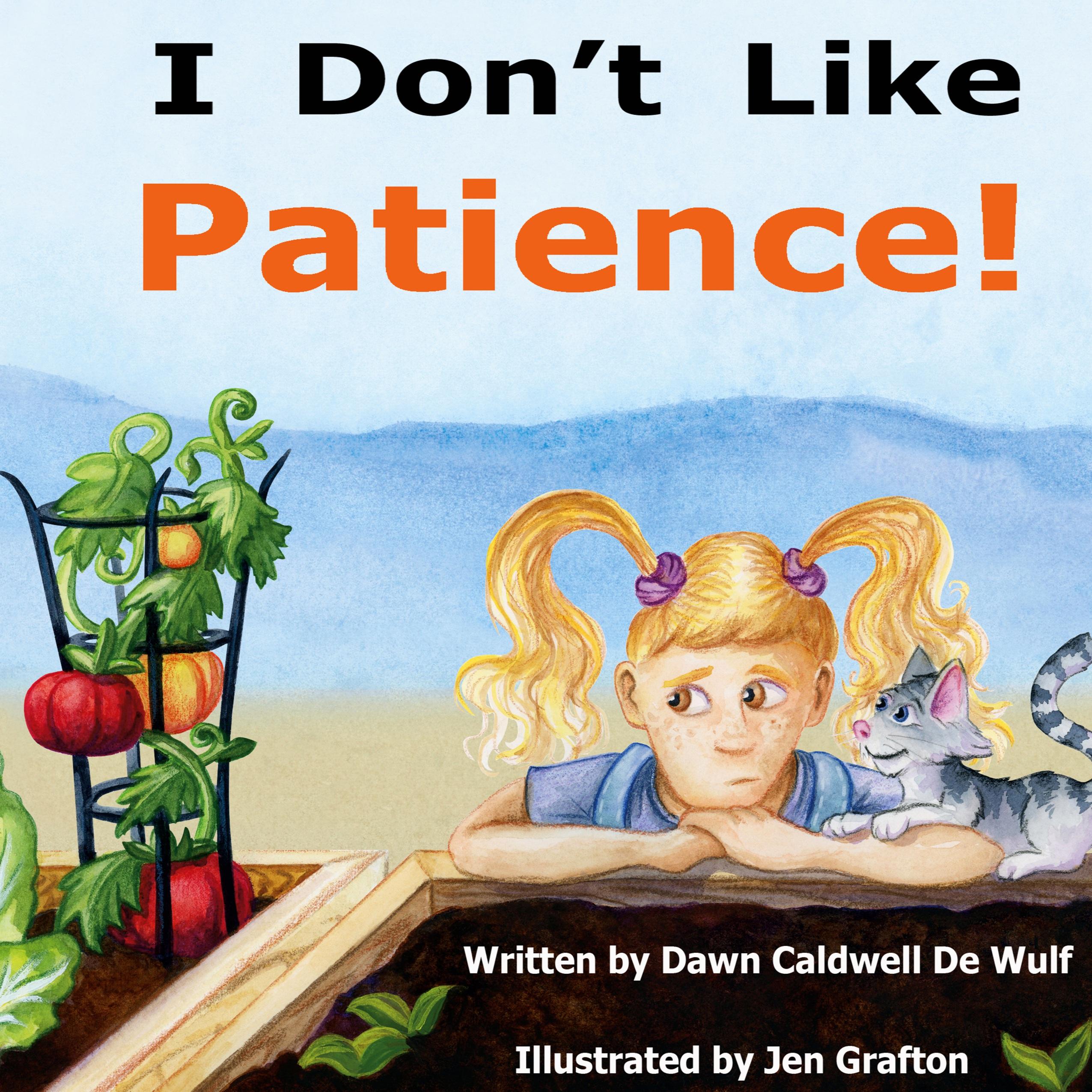 Vorderes Coverbild I Don't Like Patience