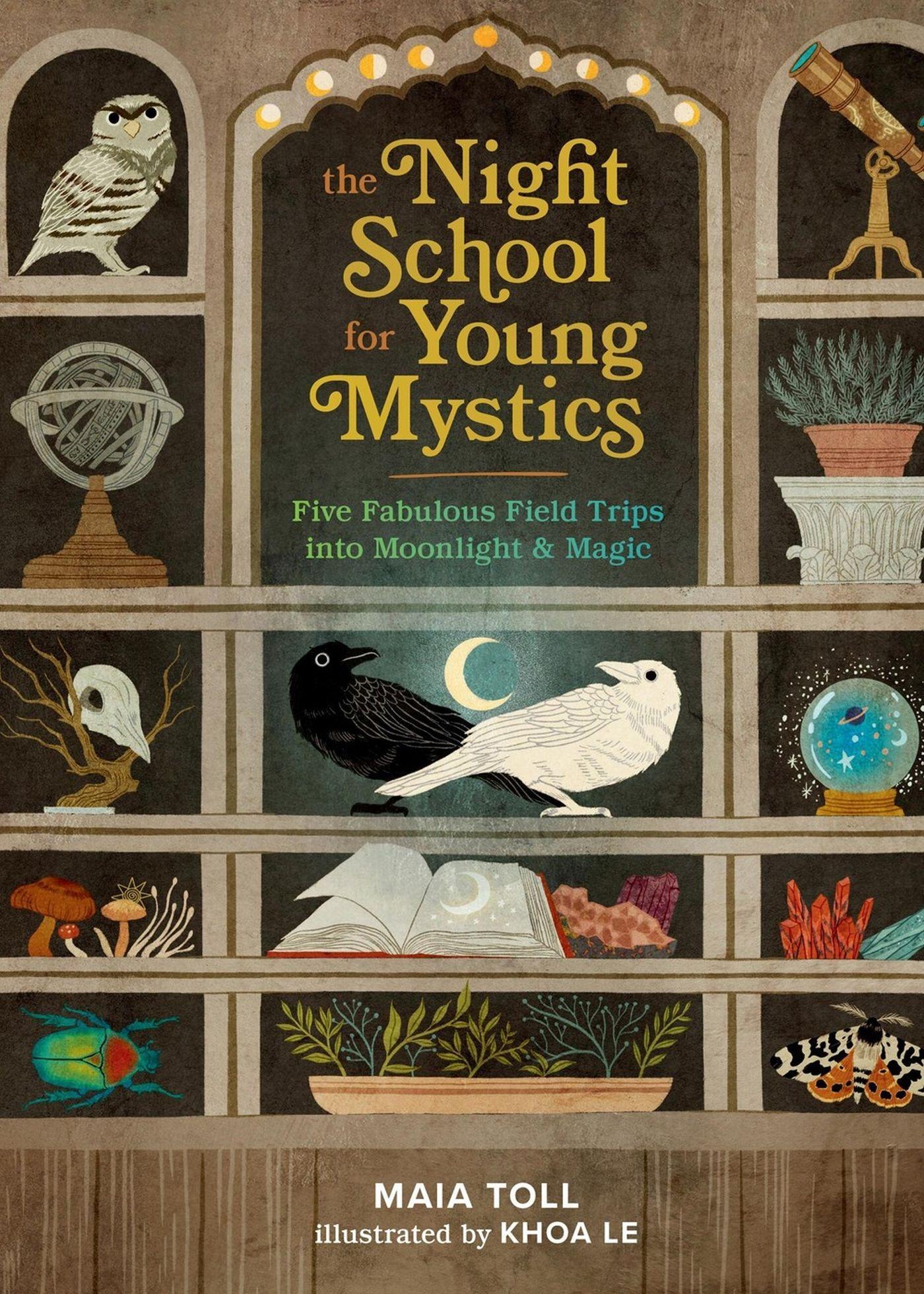 Vorderes Coverbild The Night School for Young Mystics