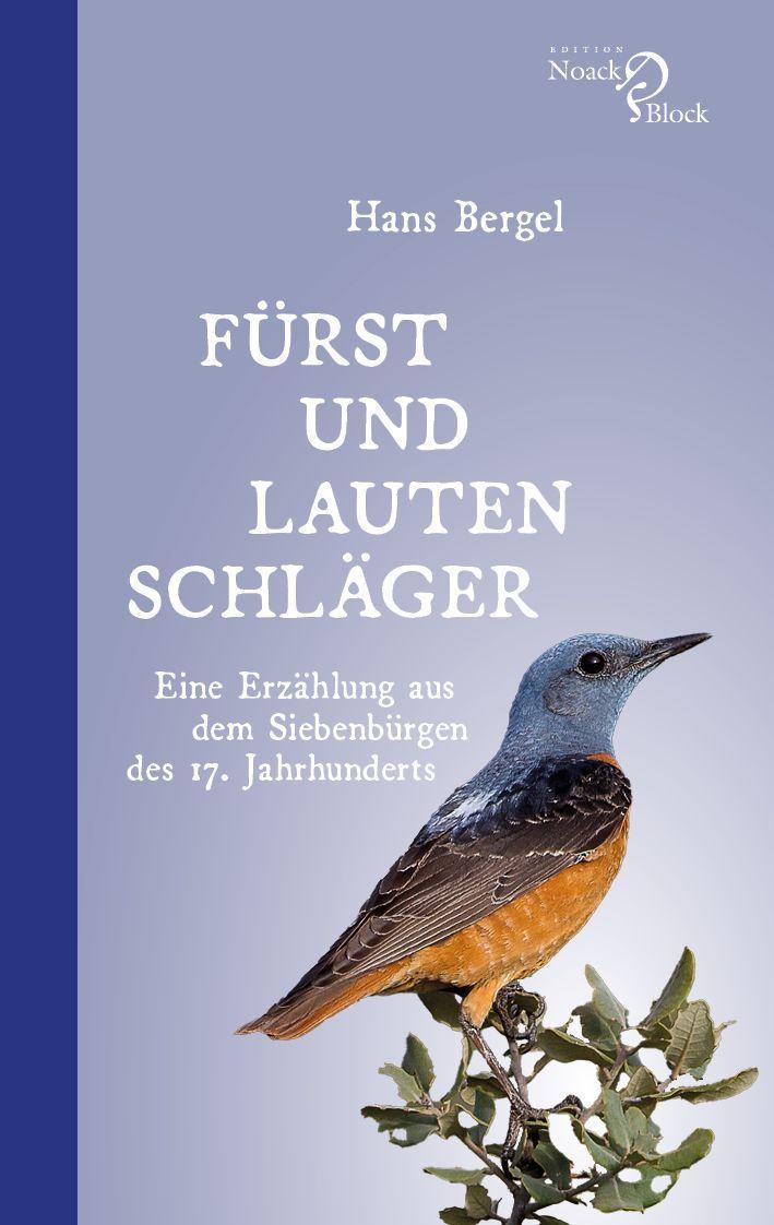 Vorderes Coverbild Fürst und Lautenschläger