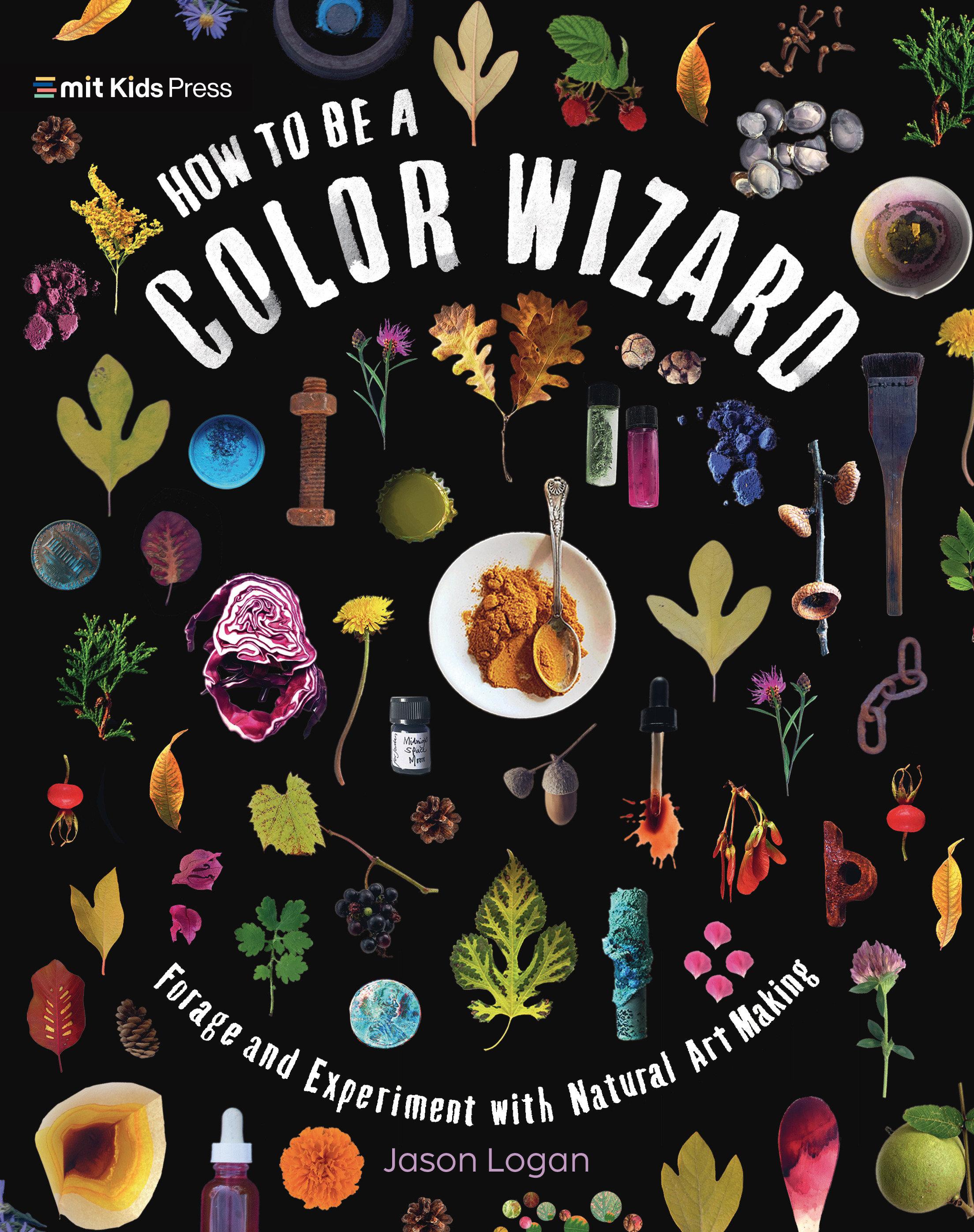 Vorderes Coverbild How to Be a Color Wizard: Forage and Experiment with Natural Art Making