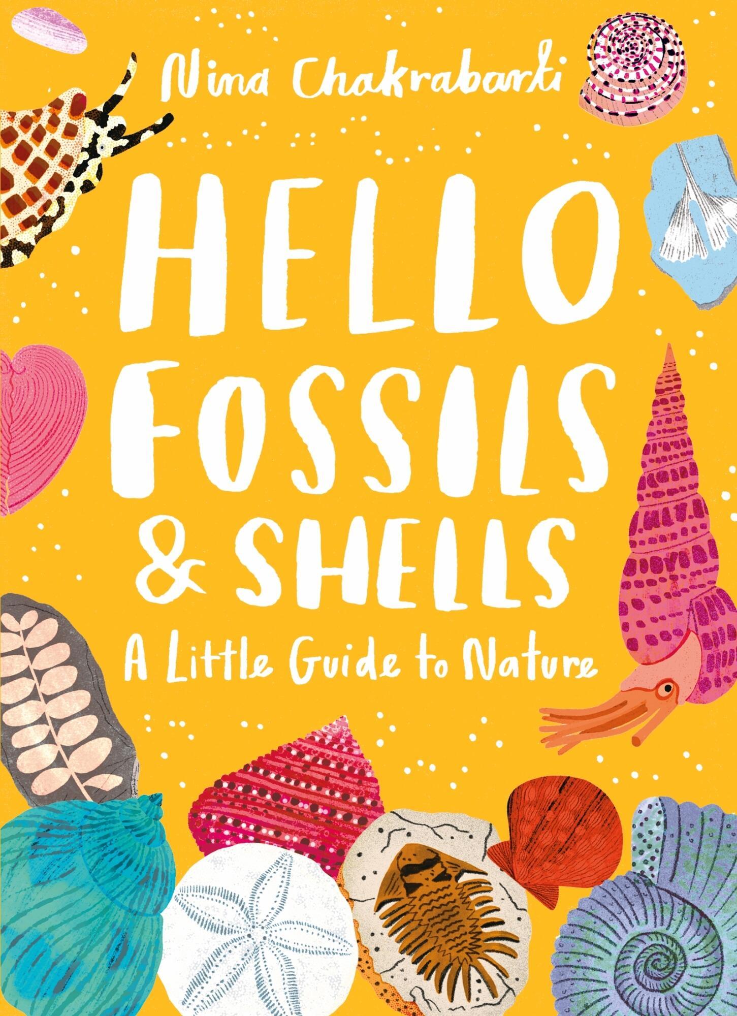 Vorderes Coverbild Little Guides to Nature: Hello Fossils and Shells