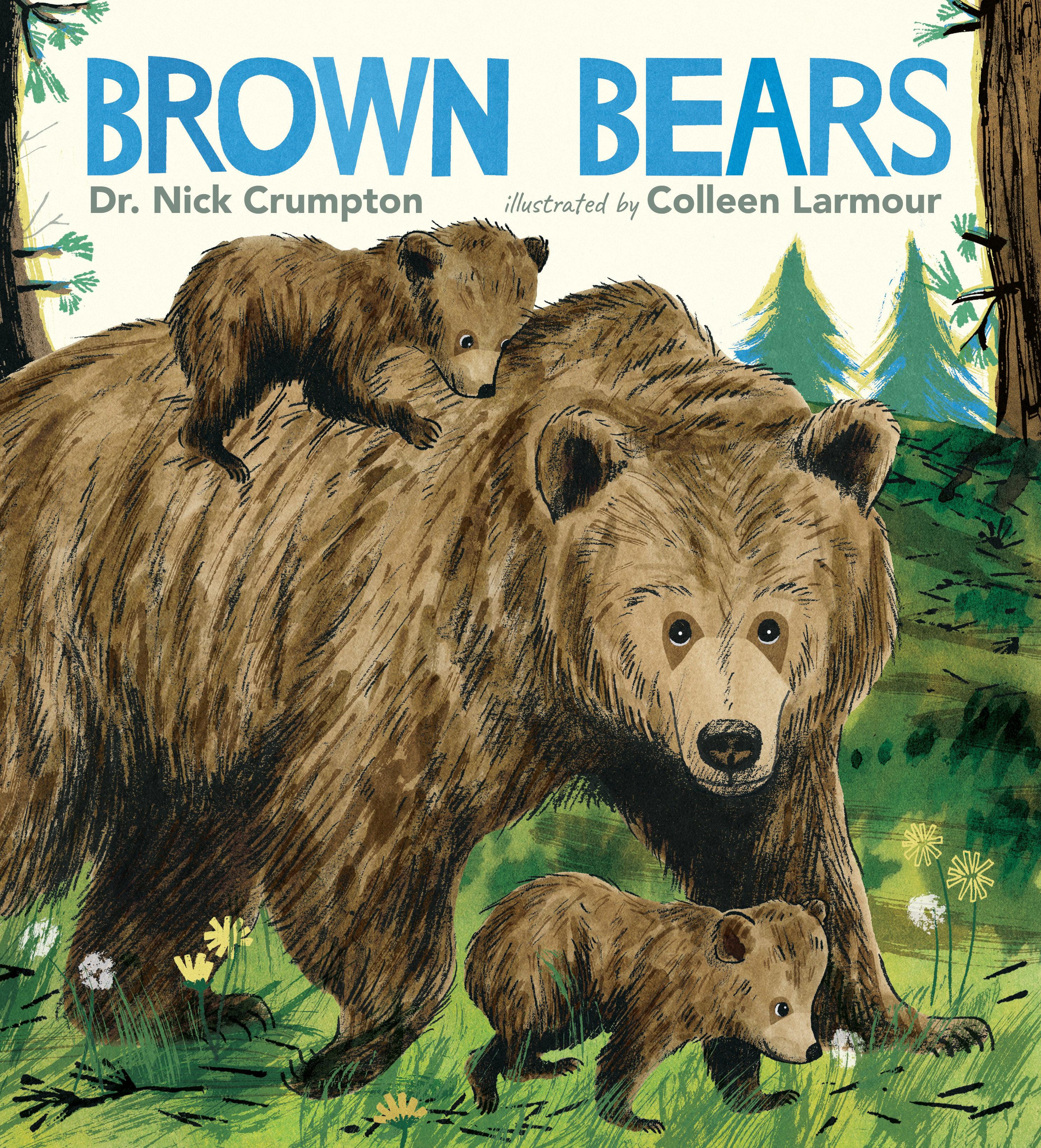Vorderes Coverbild Brown Bears