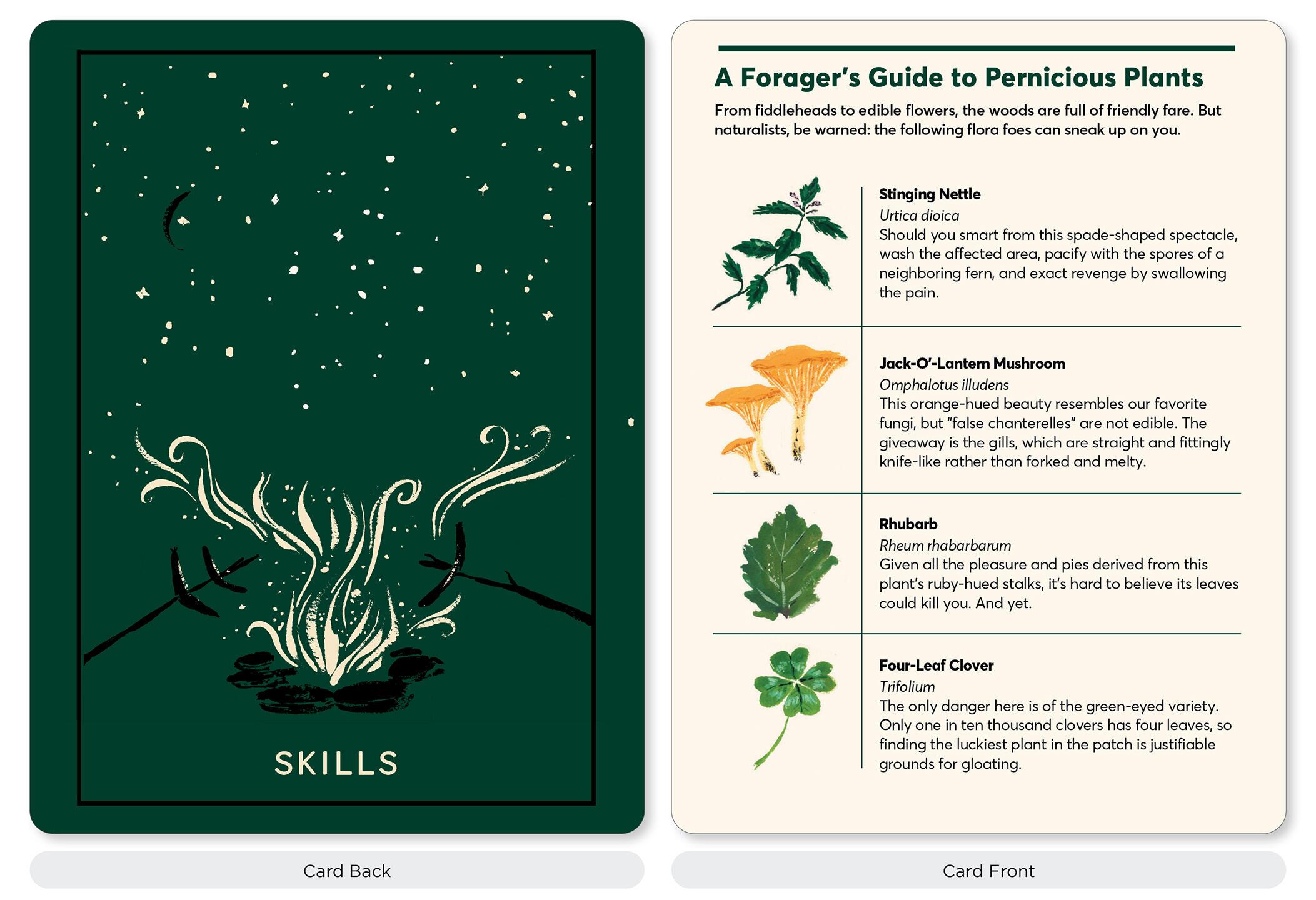 Beispielinhalt (Bild) The Campout Card Deck