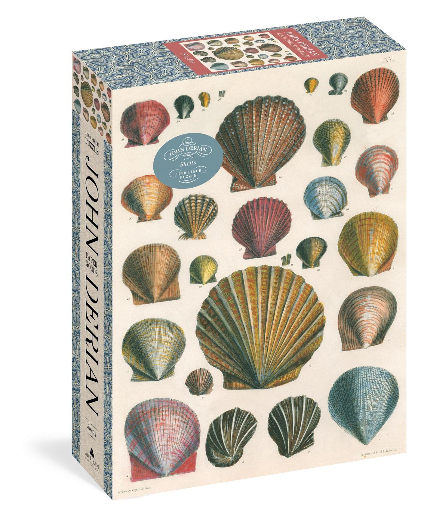 Vorderes Coverbild John Derian Paper Goods: Shells 1,000-Piece Puzzle