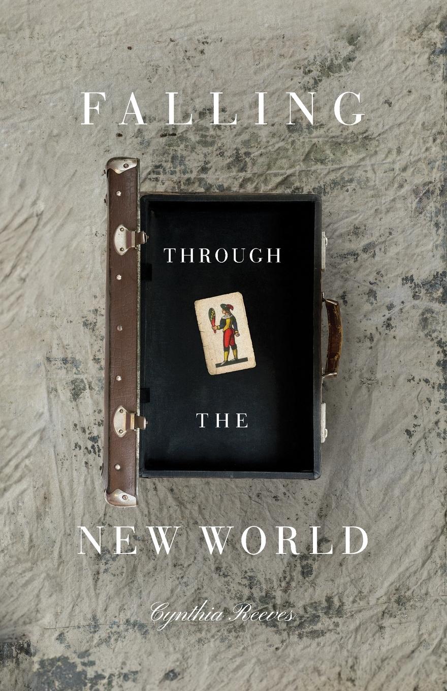 Vorderes Coverbild Falling Through the New World