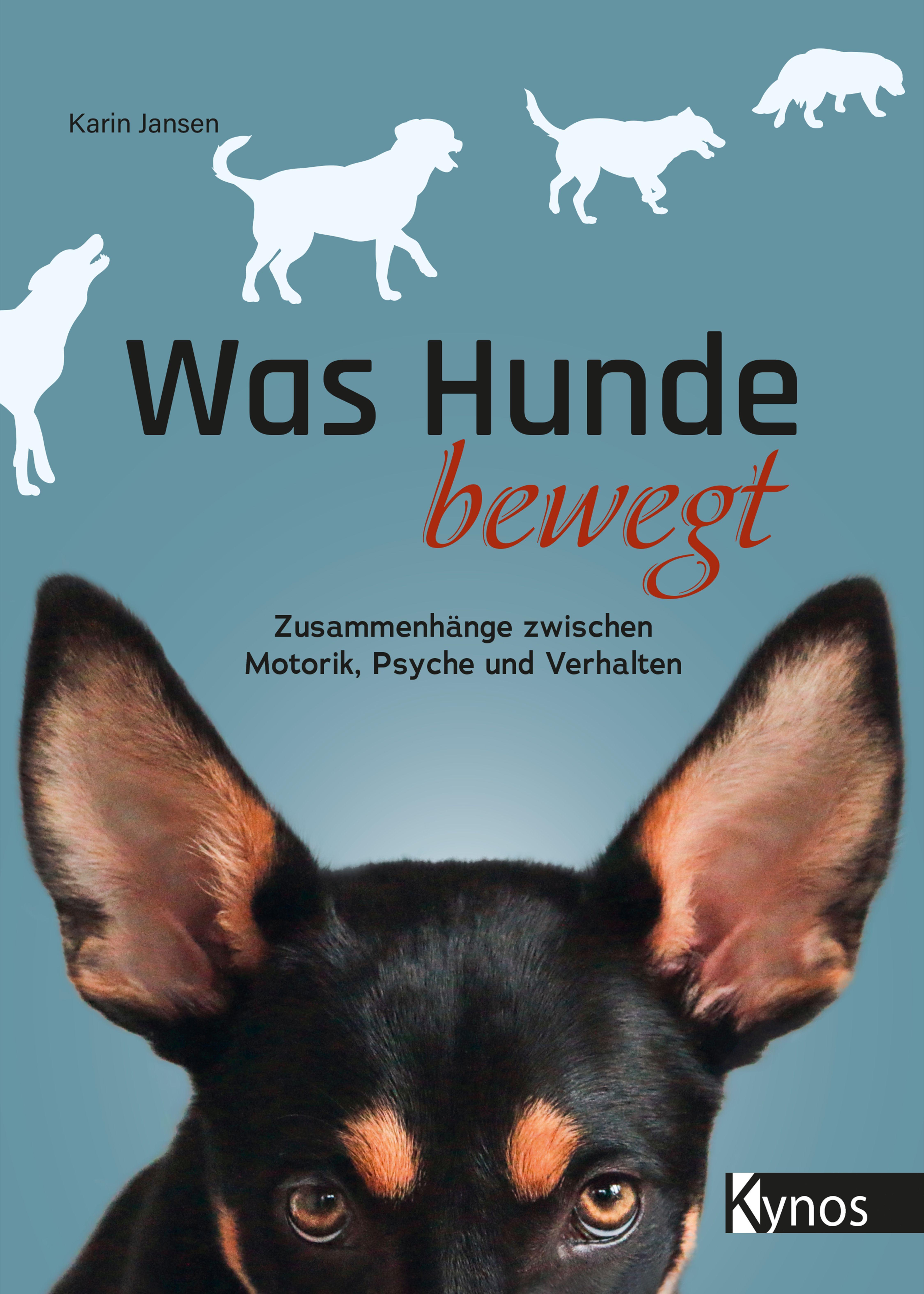 Vorderes Coverbild Was Hunde bewegt