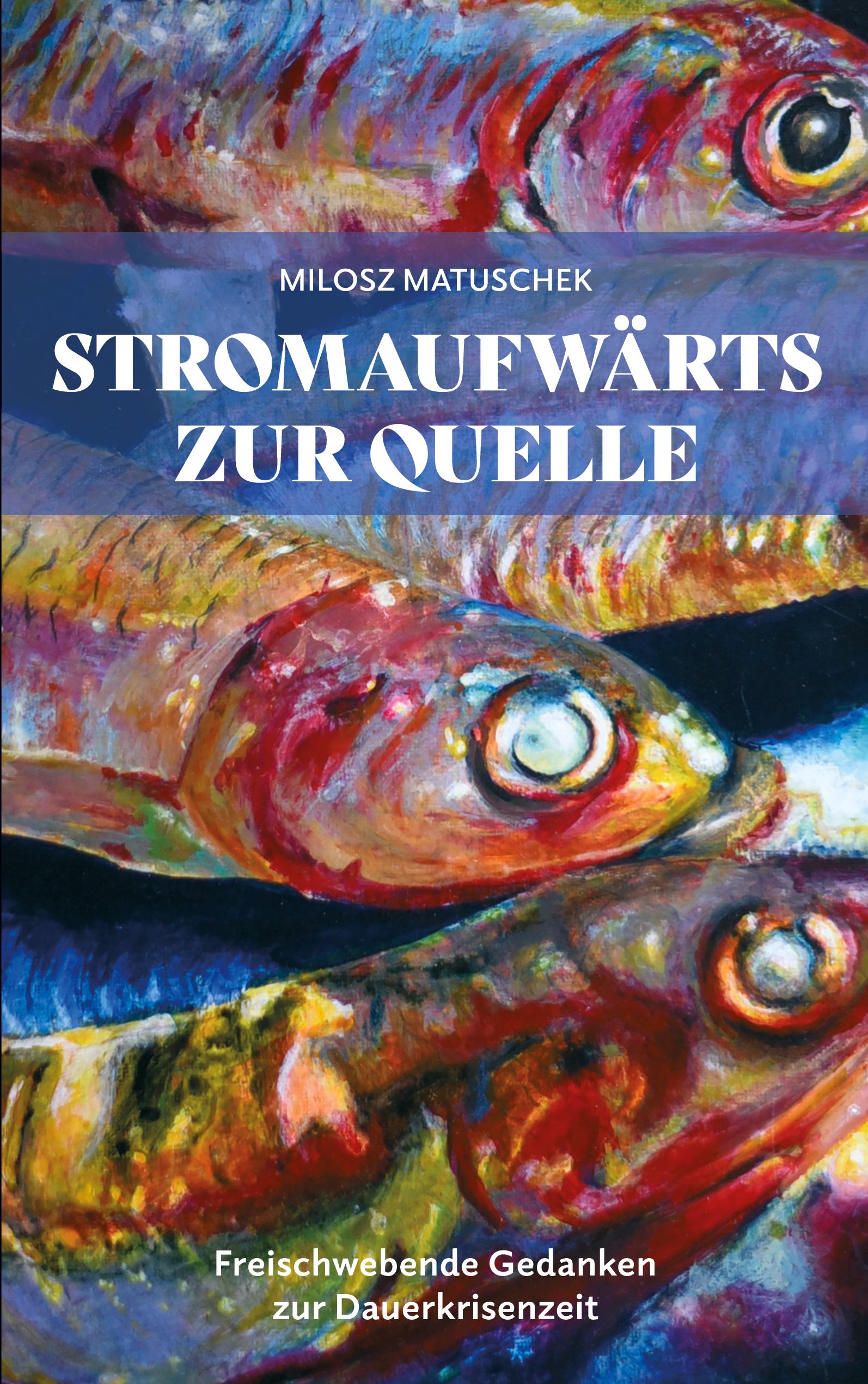 Vorderes Coverbild Stromaufwärts zur Quelle