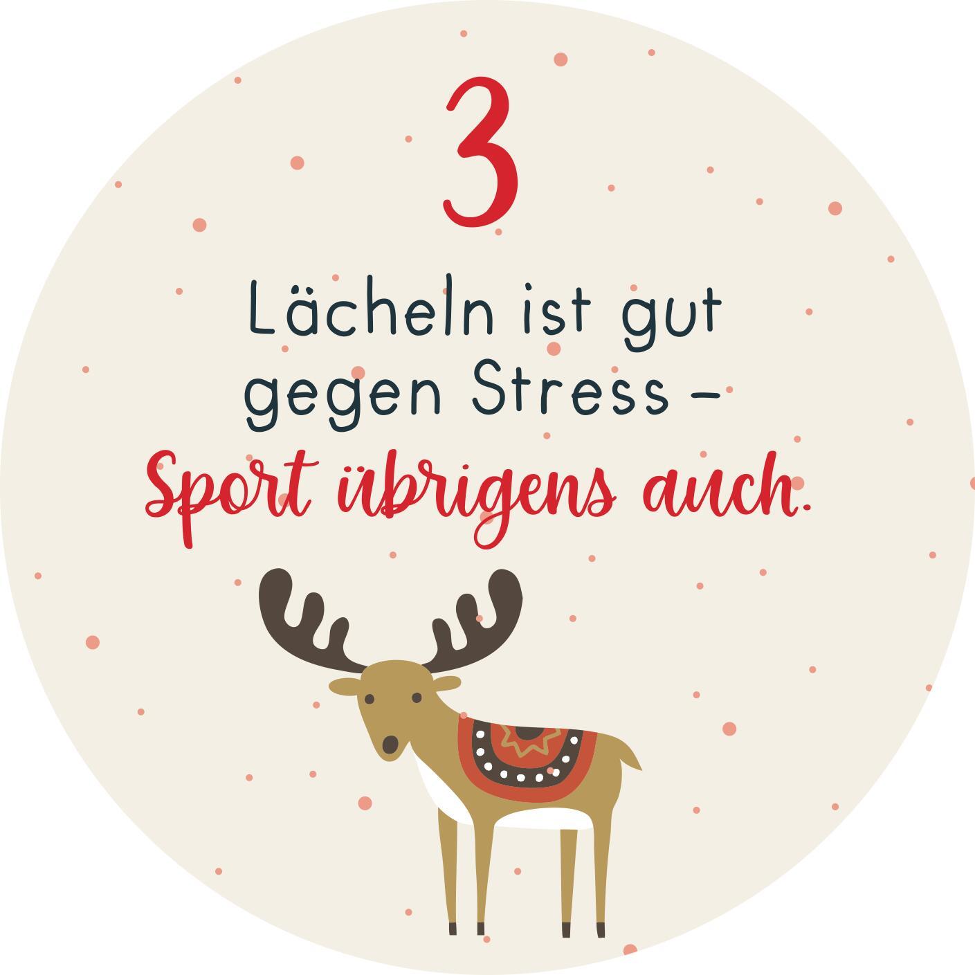 Beispielinhalt (Bild) Adventskalender in der Dose. Christmas Fitness