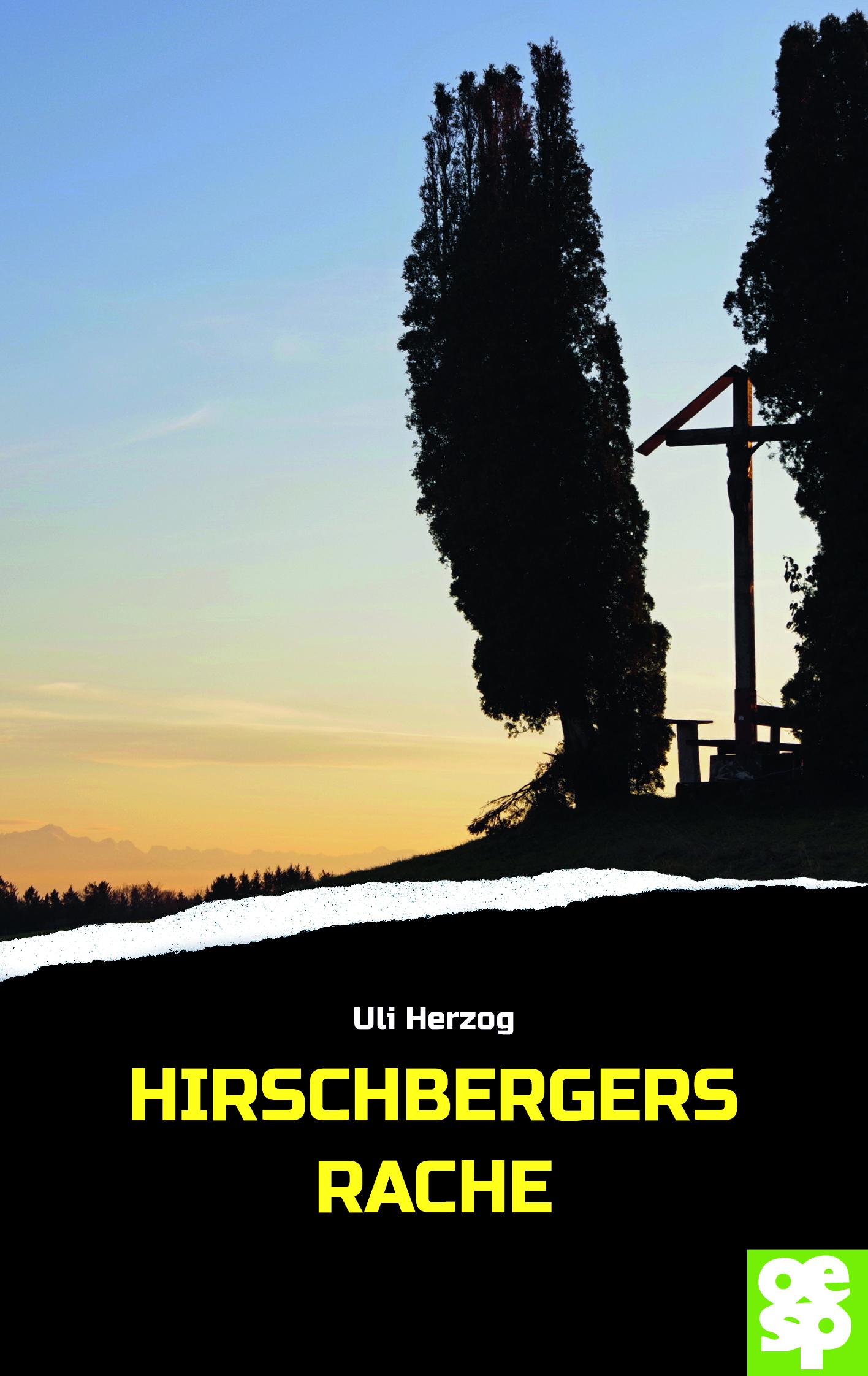 Vorderes Coverbild Hirschbergers Rache