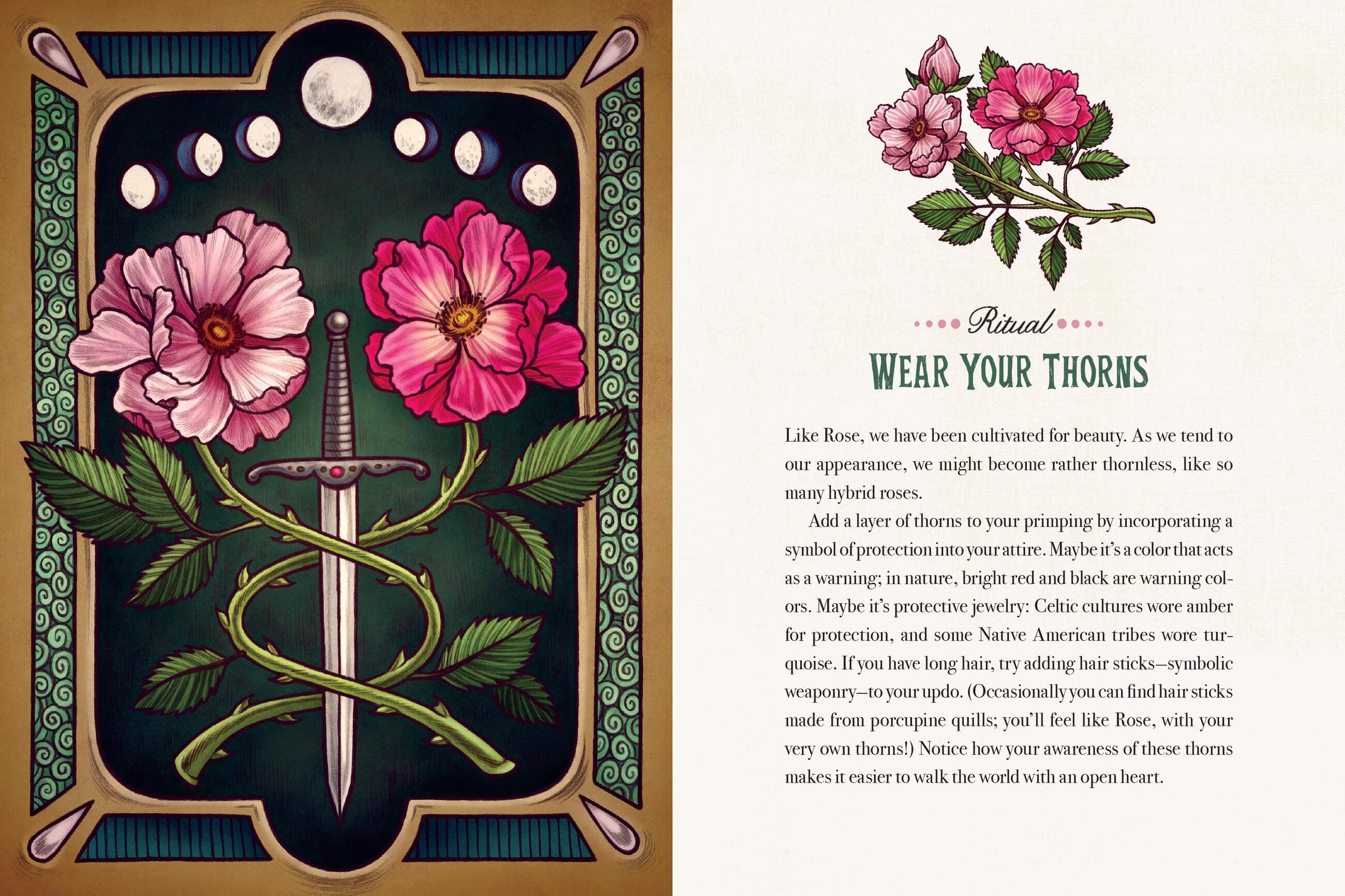 Beispielinhalt (Bild) Maia Toll's Wild Wisdom Tattoos