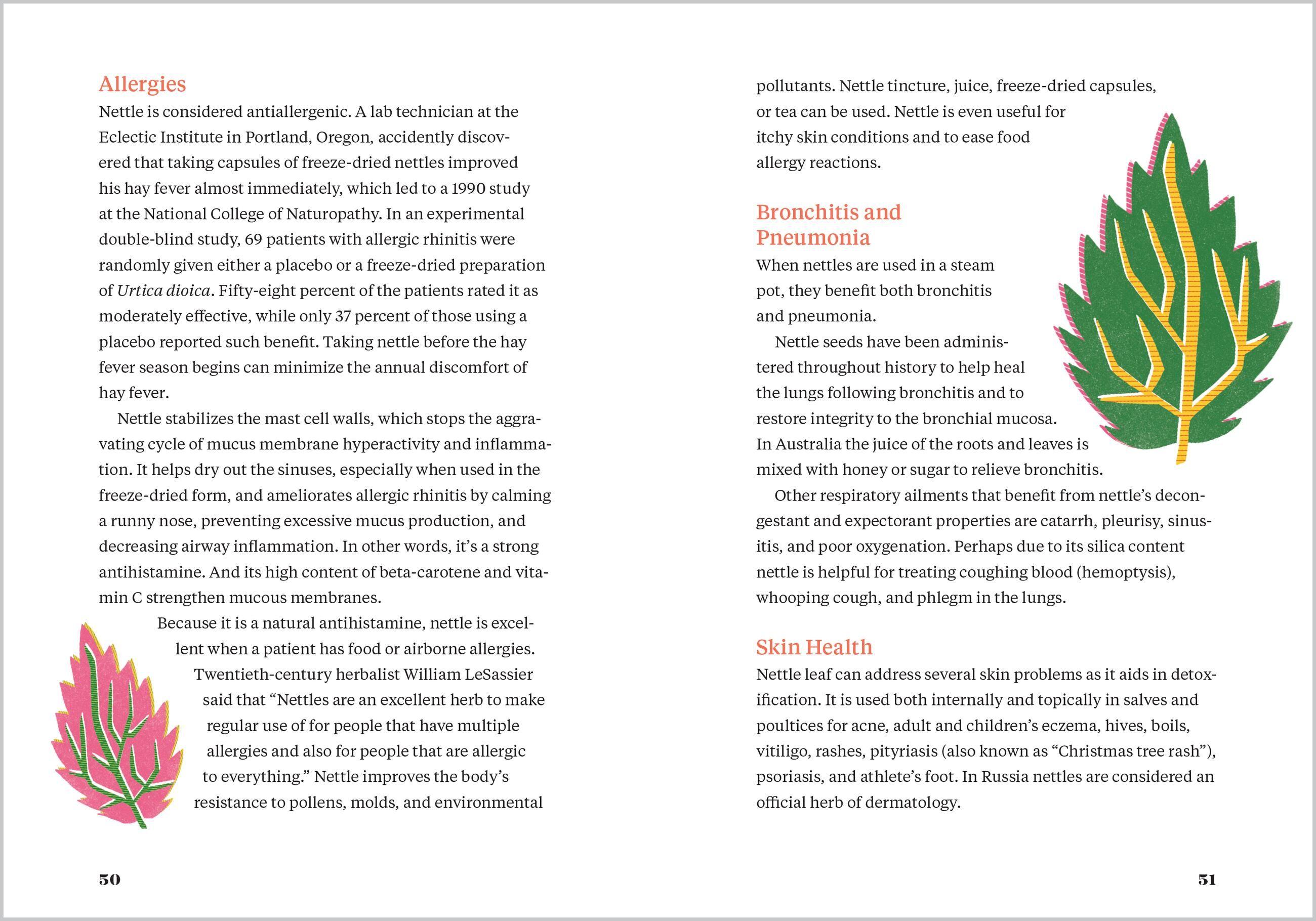 Beispielinhalt (Bild) Nettle Power