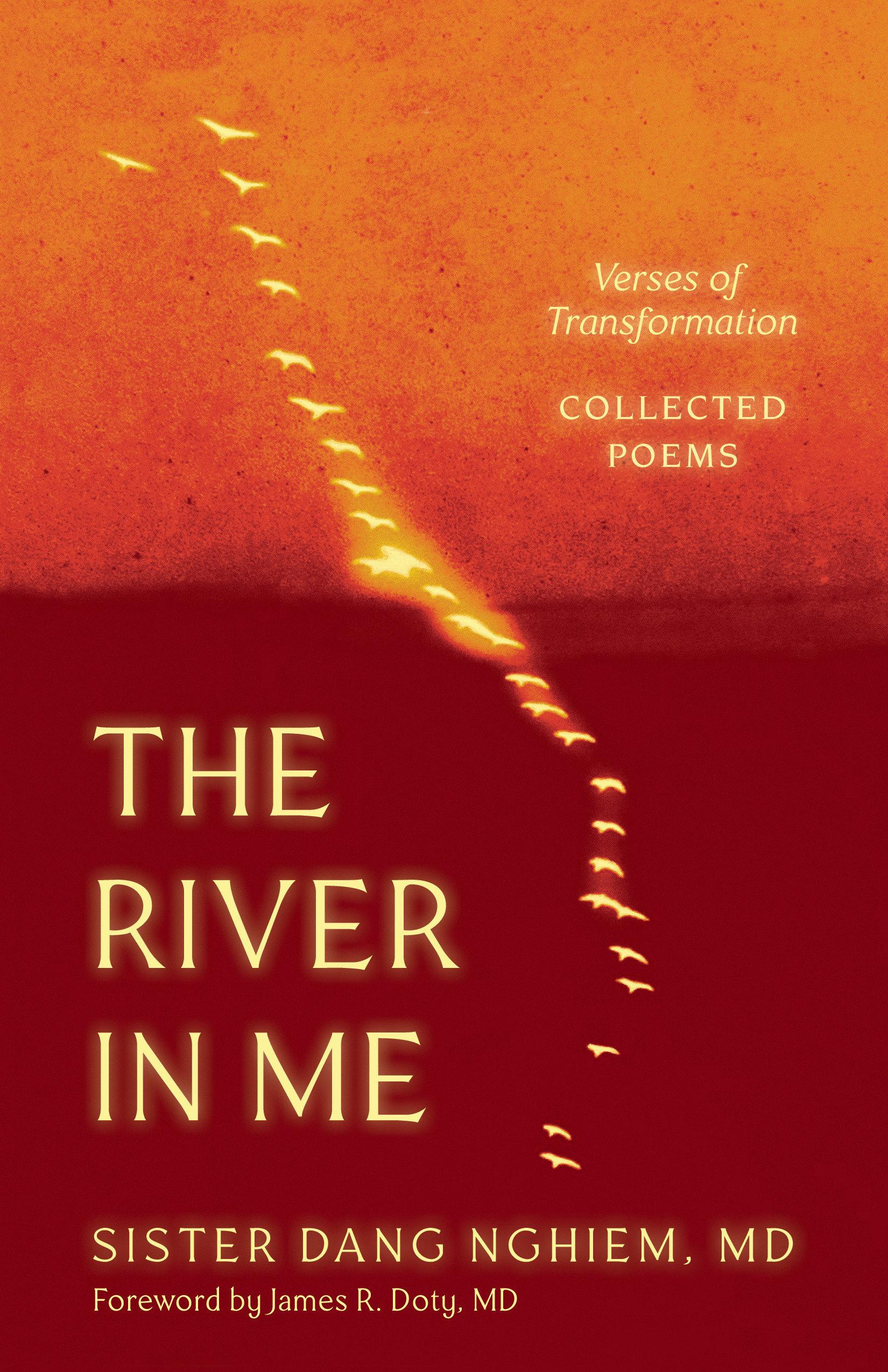 Vorderes Coverbild The River in Me