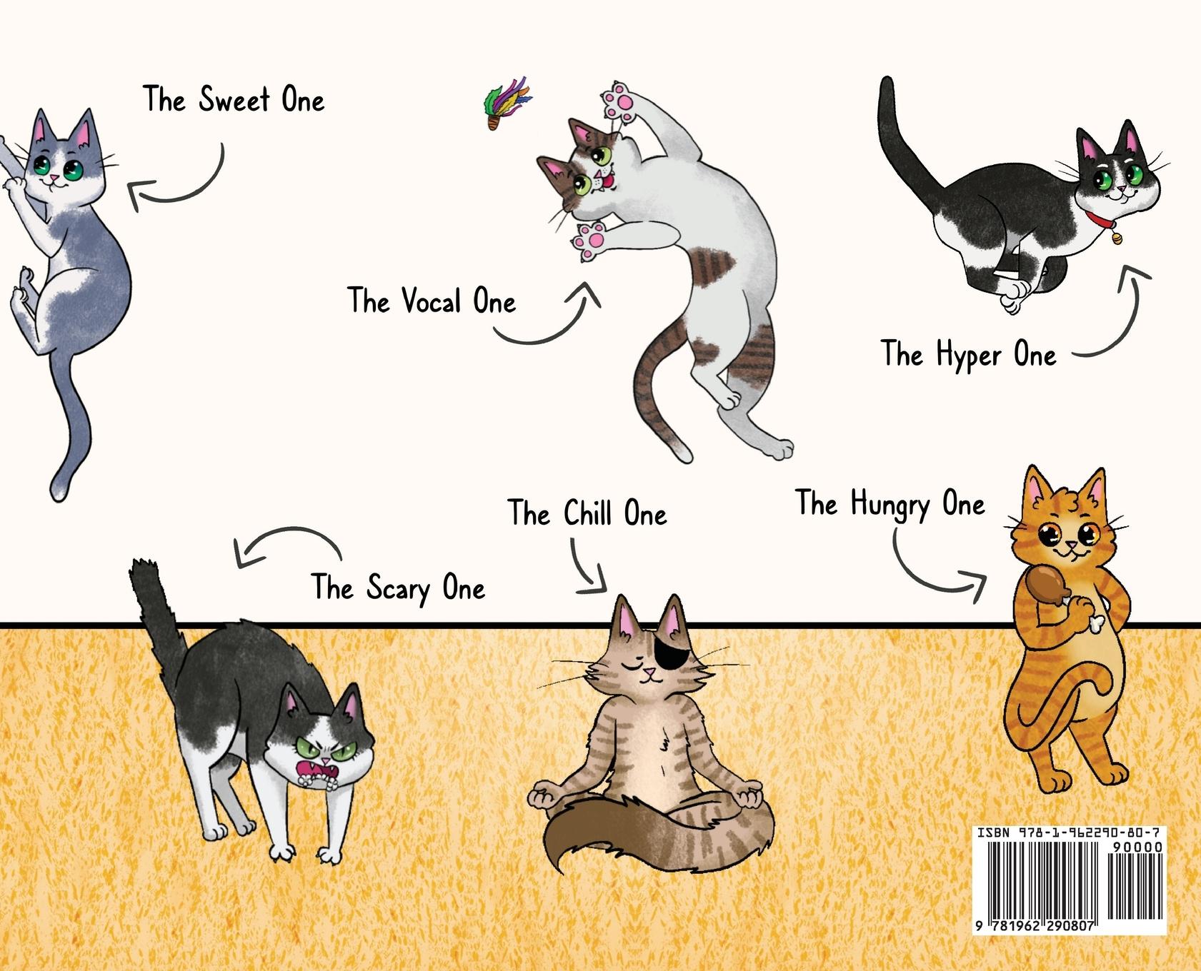 Rückseitencover Meet My Family of Cats