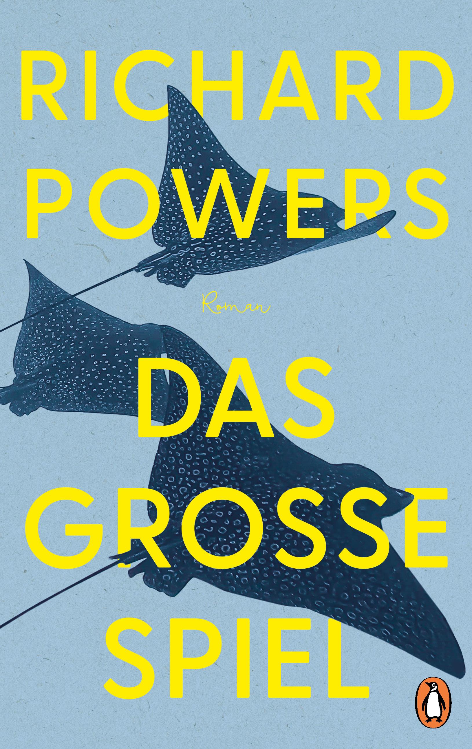 Vorderes Coverbild Das große Spiel