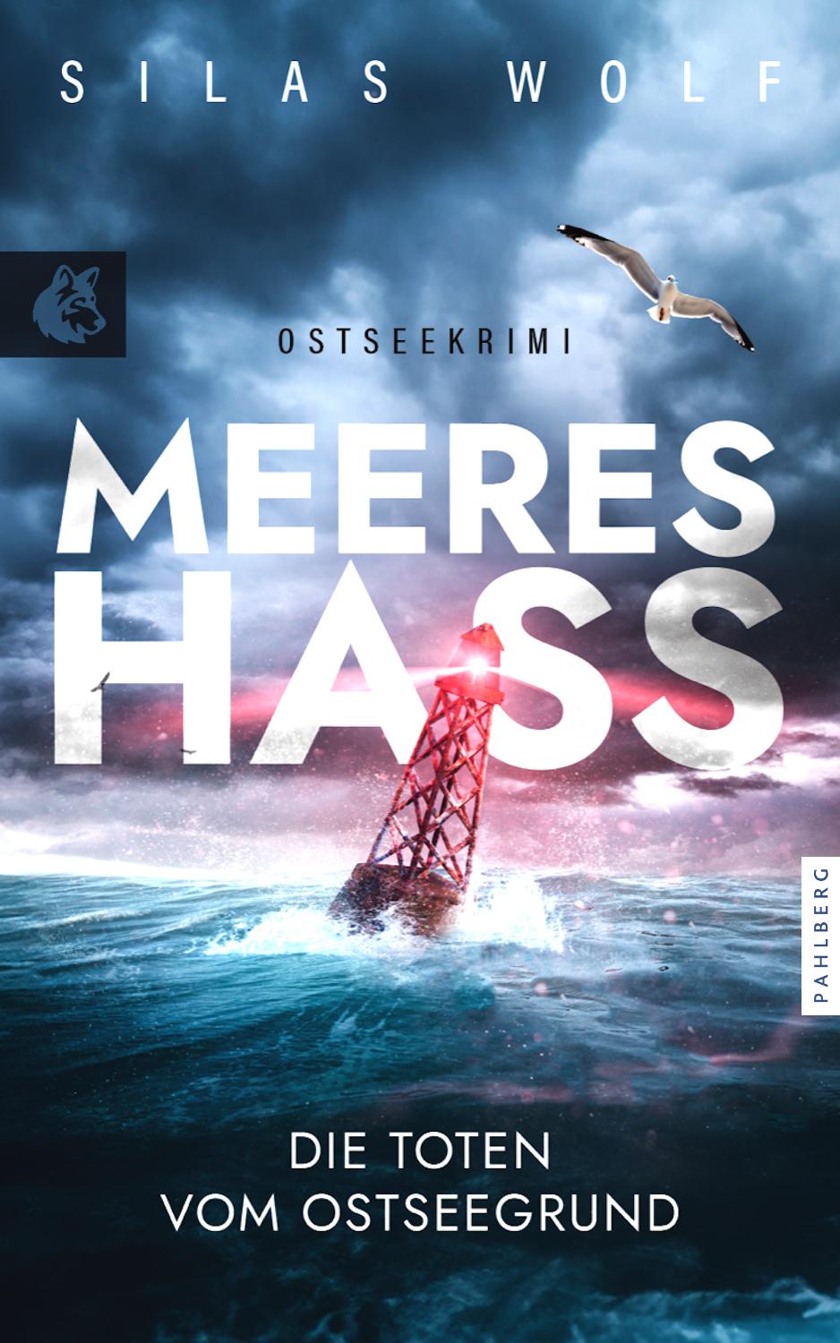 Vorderes Coverbild Meereshass - Die Toten vom Ostseegrund