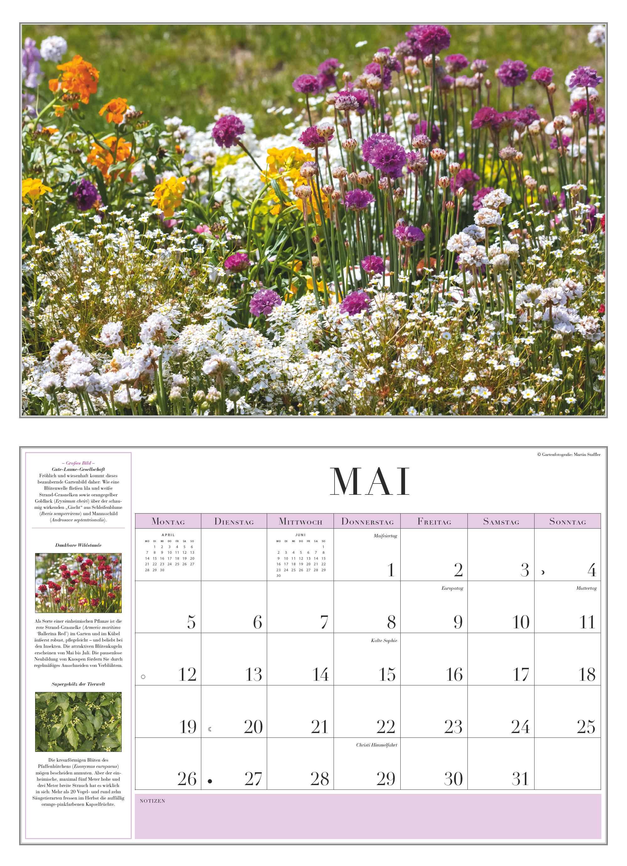 Beispielinhalt (Bild) Garten-Kalender 2025 - Broschürenkalender - mit informativen Texten - mit Jahresplaner - Format 42 x 29 cm