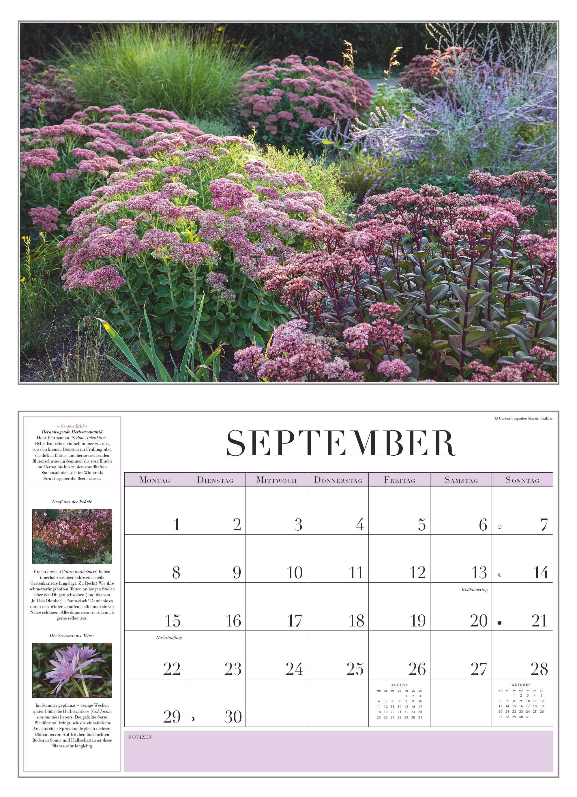Beispielinhalt (Bild) Garten-Kalender 2025 - Broschürenkalender - mit informativen Texten - mit Jahresplaner - Format 42 x 29 cm